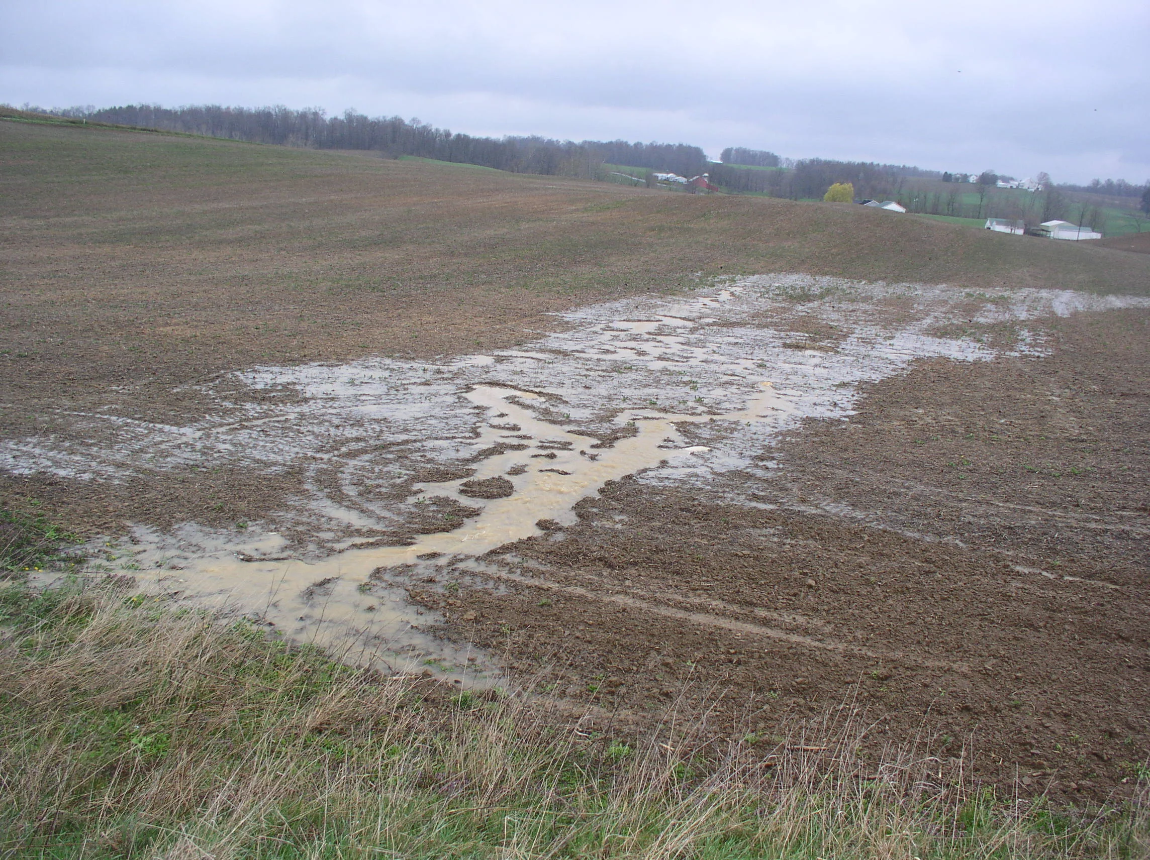 In this all-too-common example, topsoil is being lost from Holmes County farm fields.