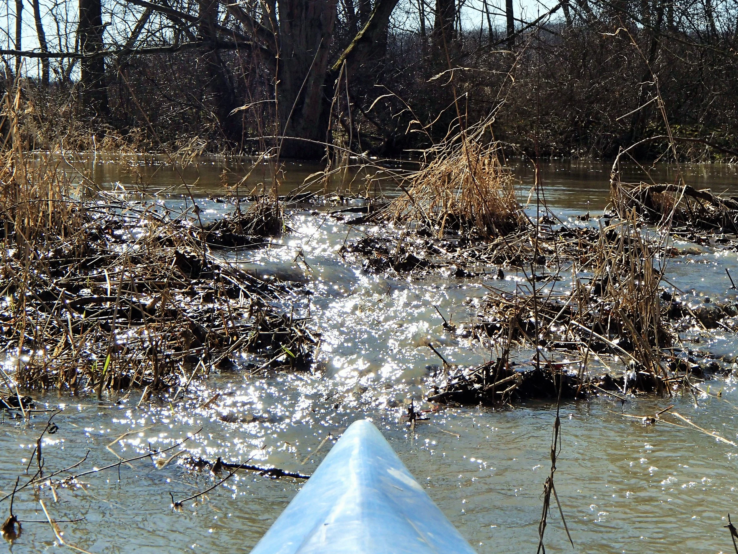 Kyaking in the Killbuck Wildlide Area in an annual outing for the Wood family.