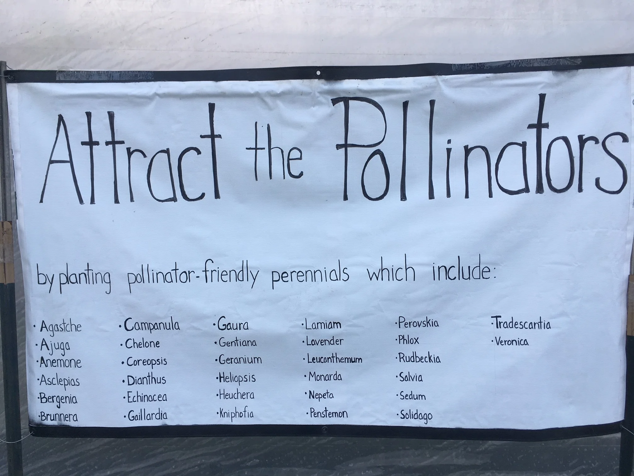Pollinators sign.jpg