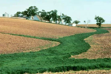 grass waterway.jpg