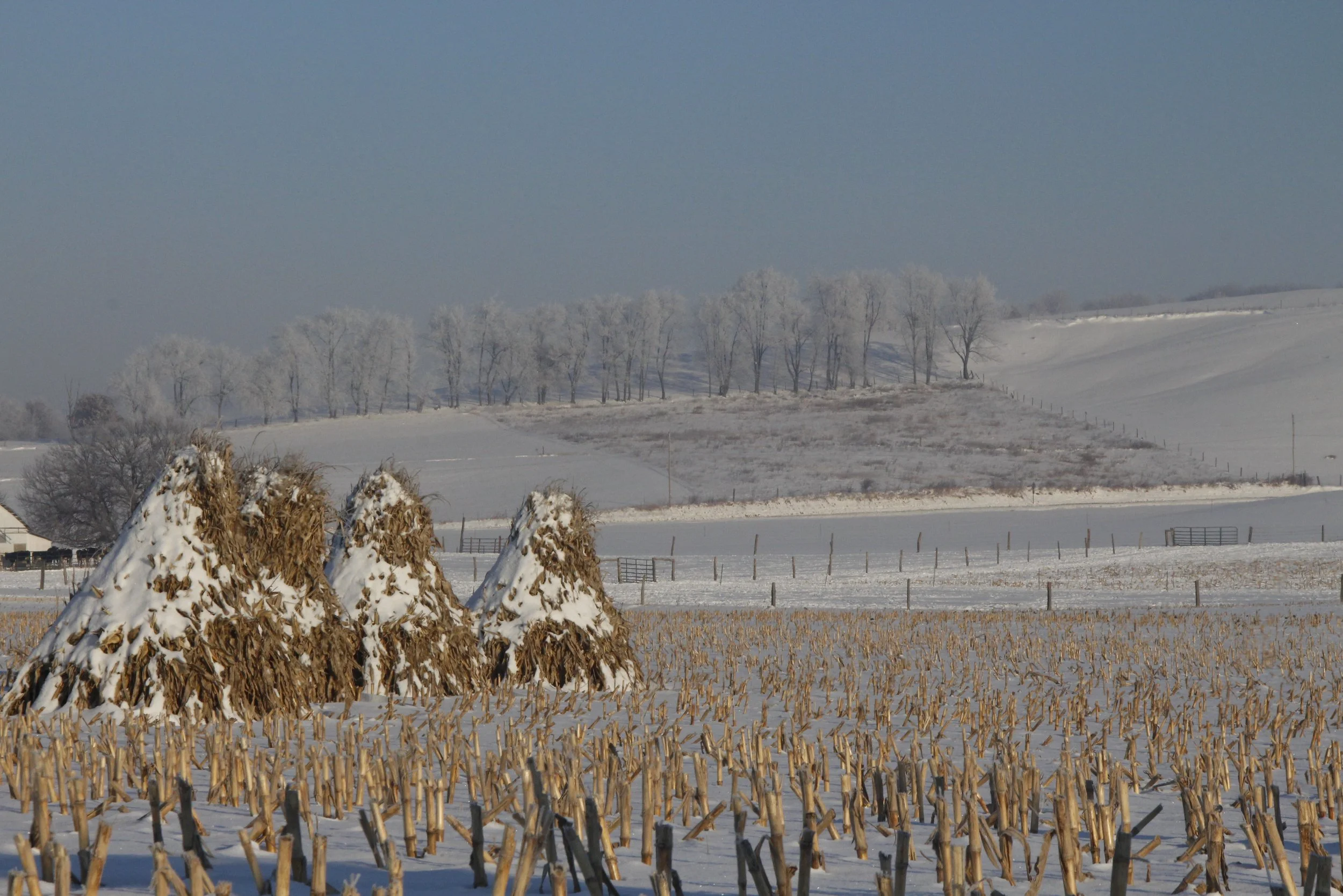 _MG_6214.JPG