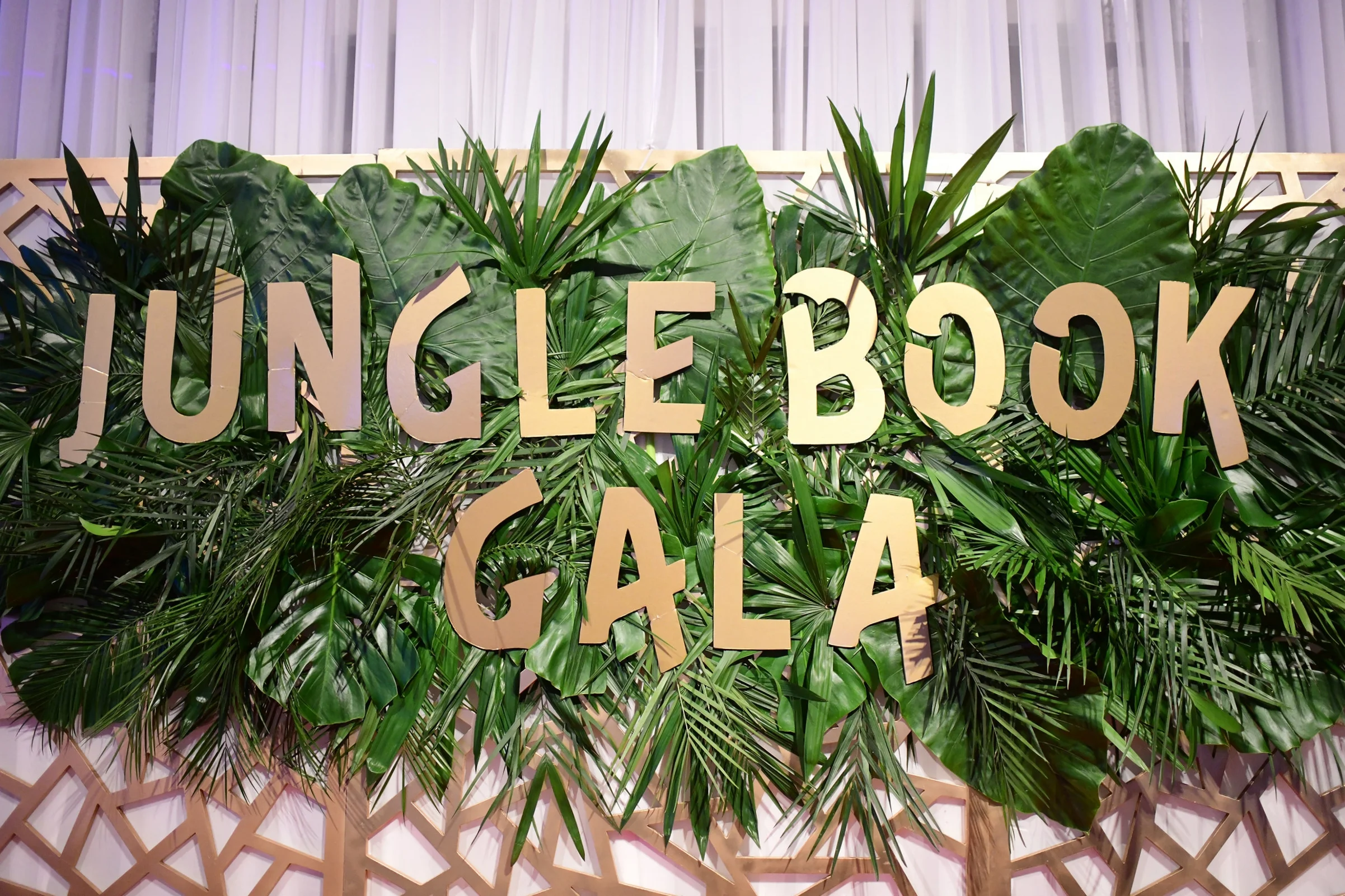 1_JungleBookGala_DOrtizPhoto_110918.jpg