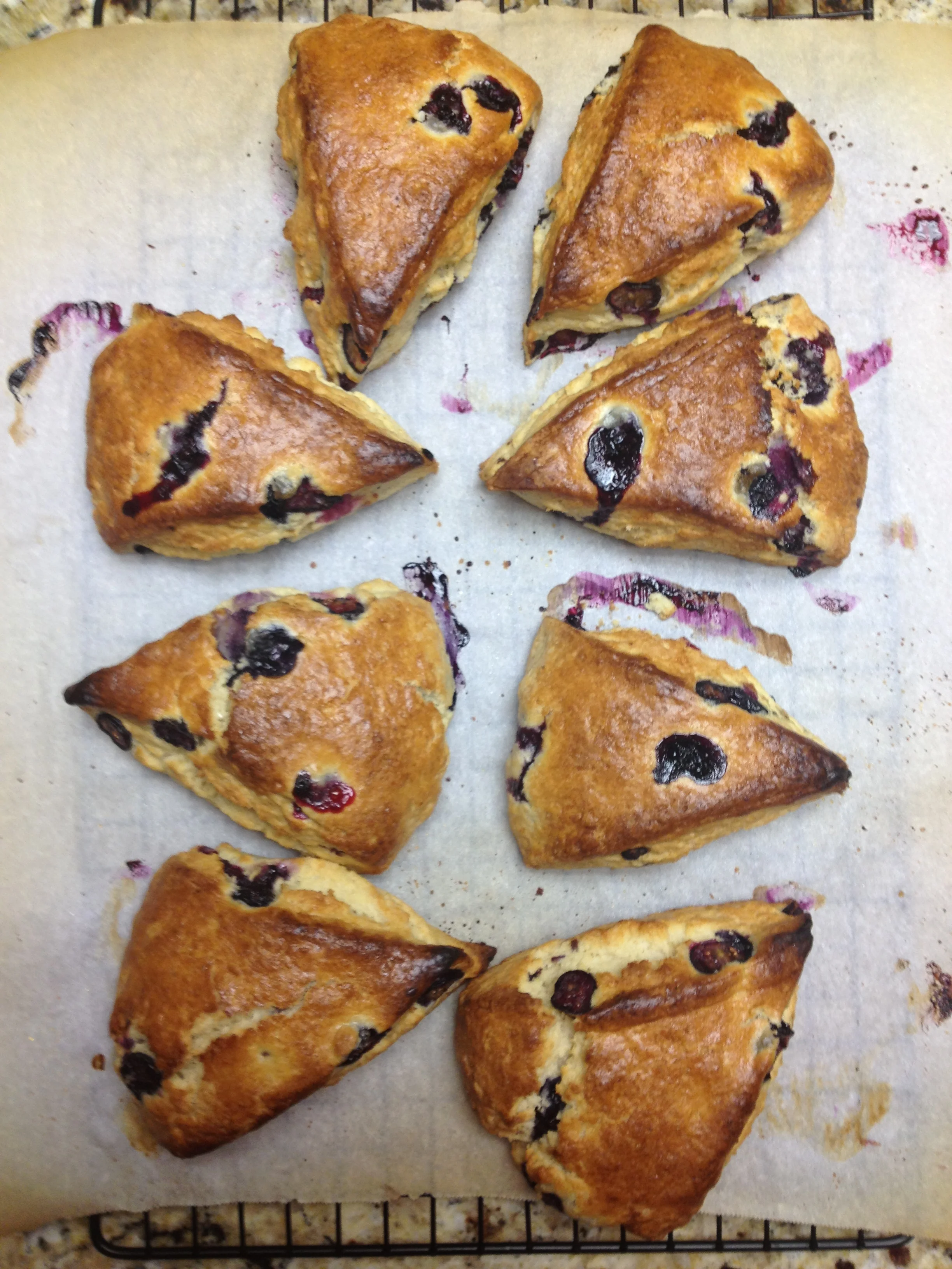 iPhone June 2014 655.JPG