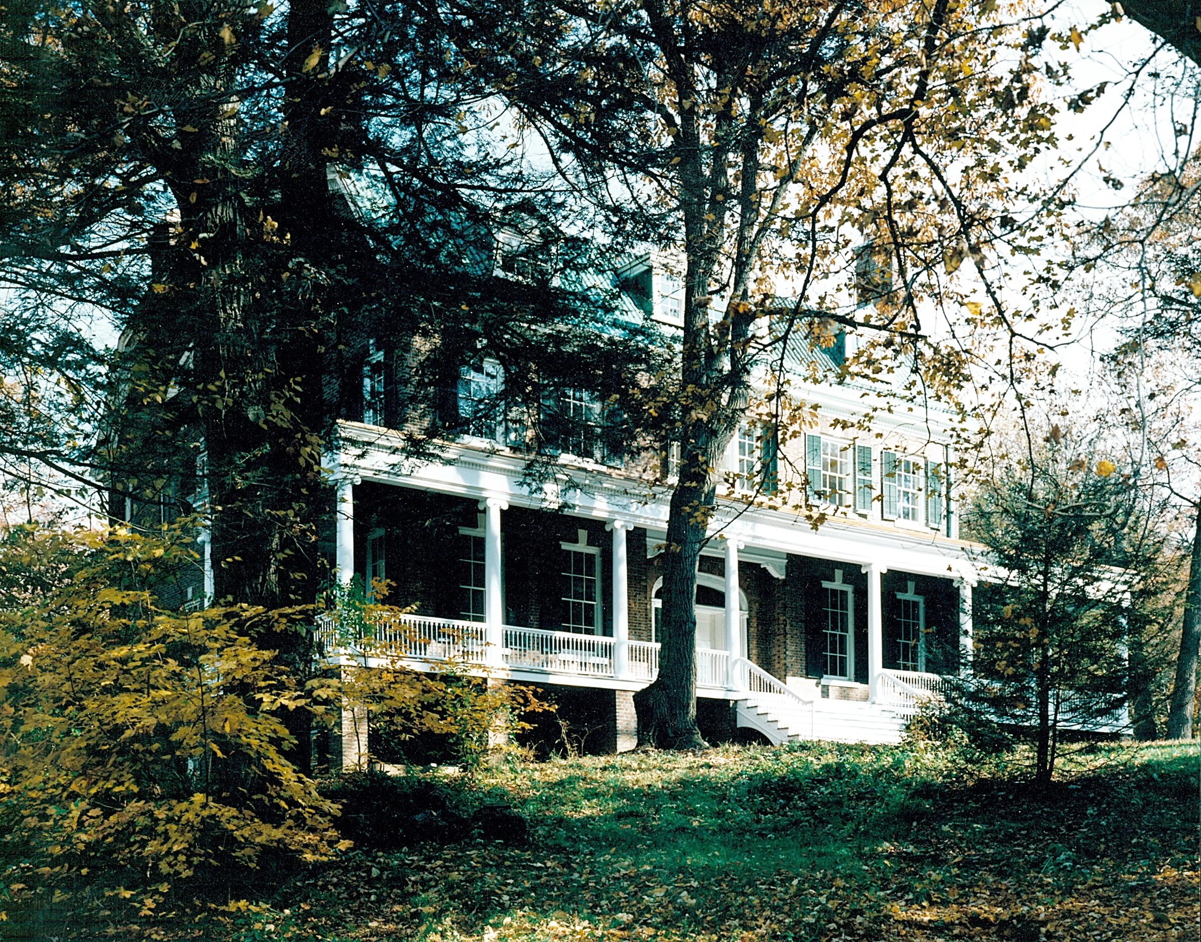 front view 1.jpg