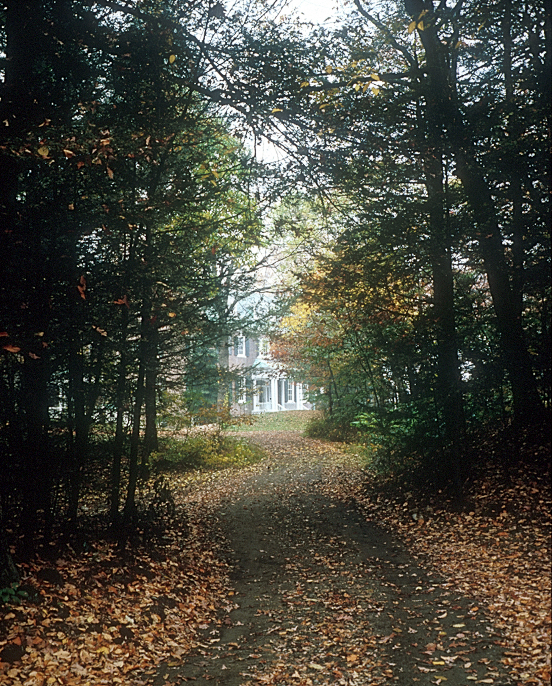 Mystery Point - Exterior - Driveway.jpg