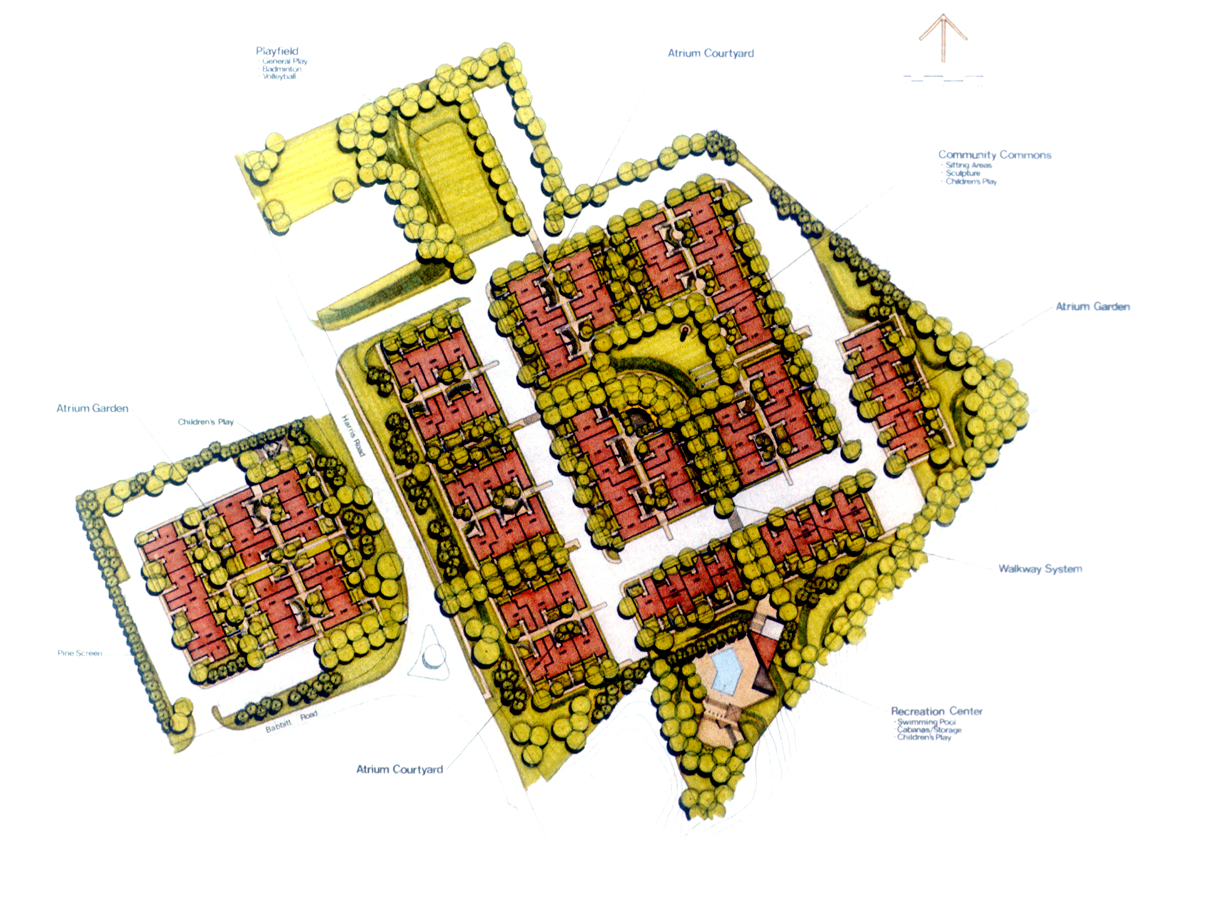 Bedford - Site Plan.jpg
