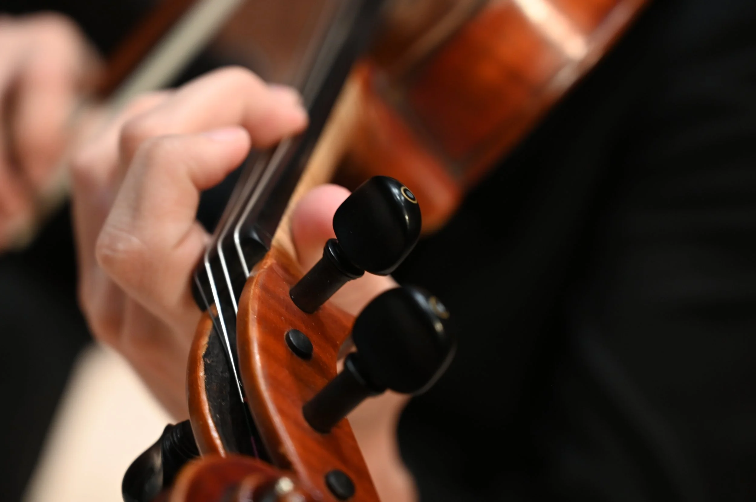 Chamber Music Rochester Violinist.JPG