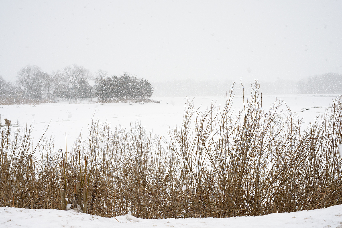 Mill Pond, Connecticut, 2015