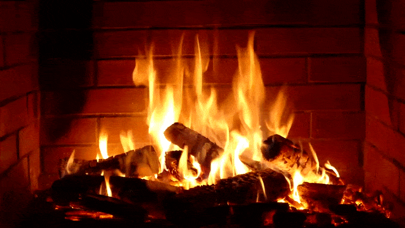 fire2100compression.gif