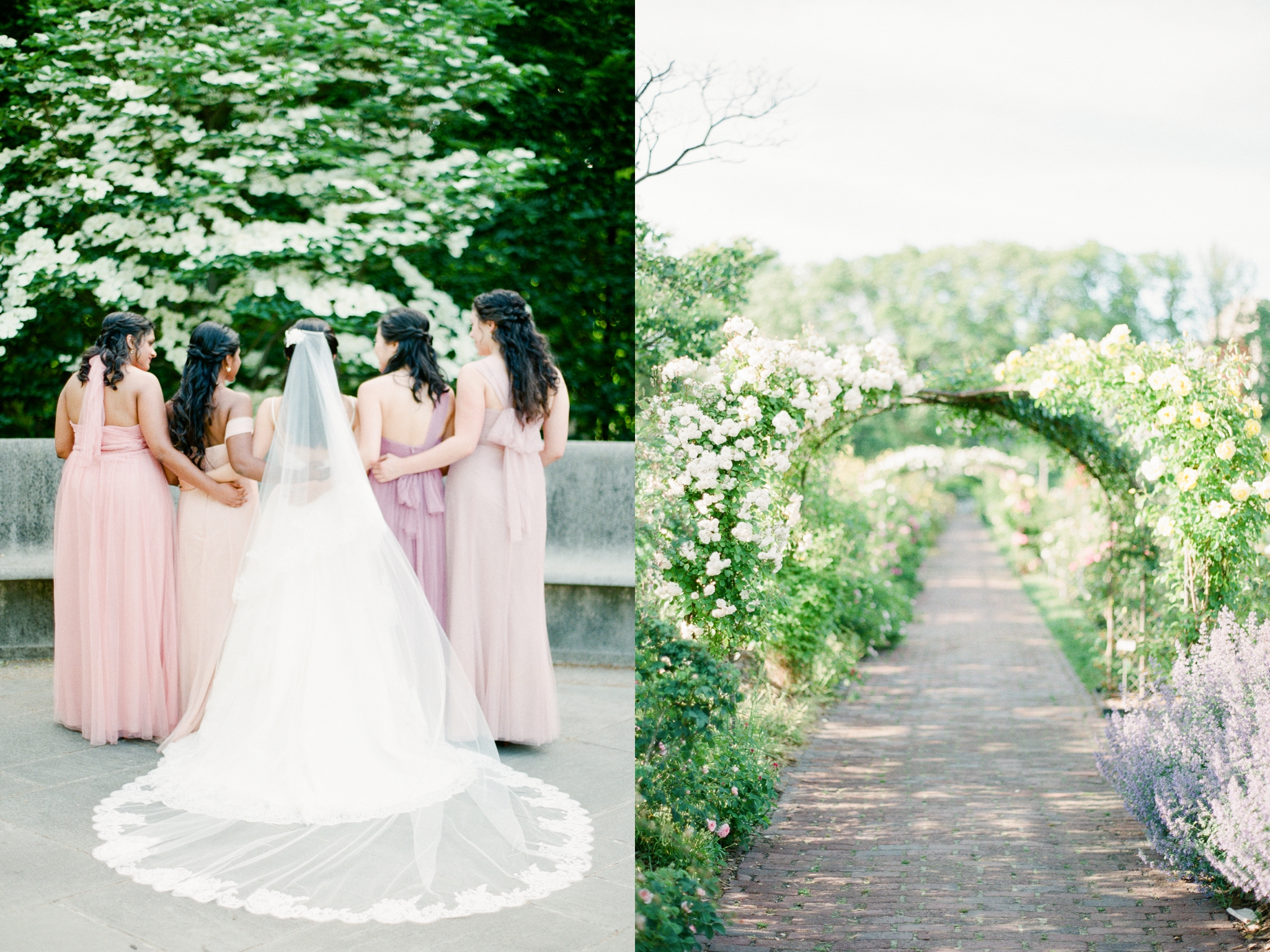 brooklyn botanical garden wedding photos