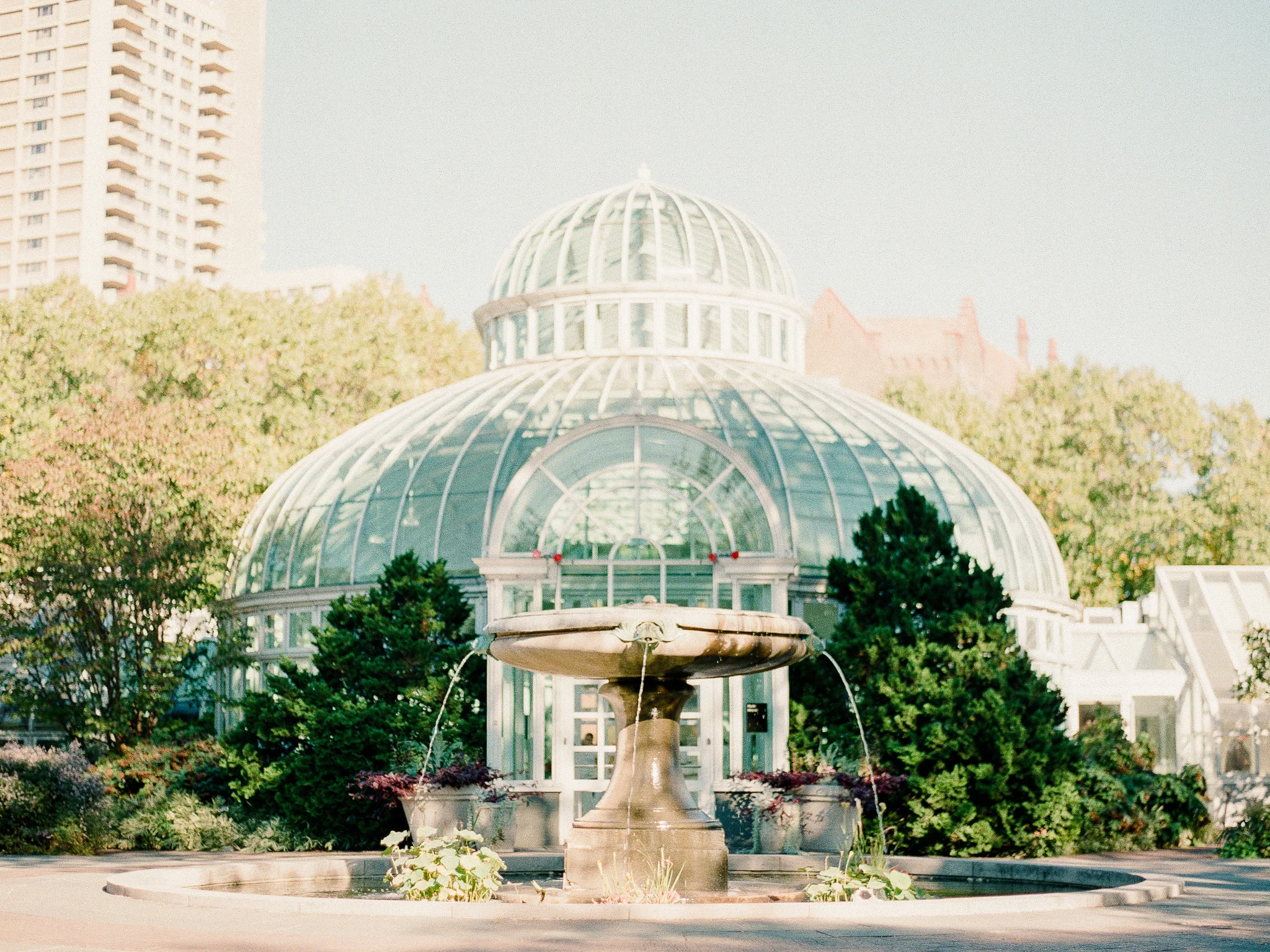 Brooklyn-Botanic-Garden-Wedding-Photos-The-Palm-House-04.JPG