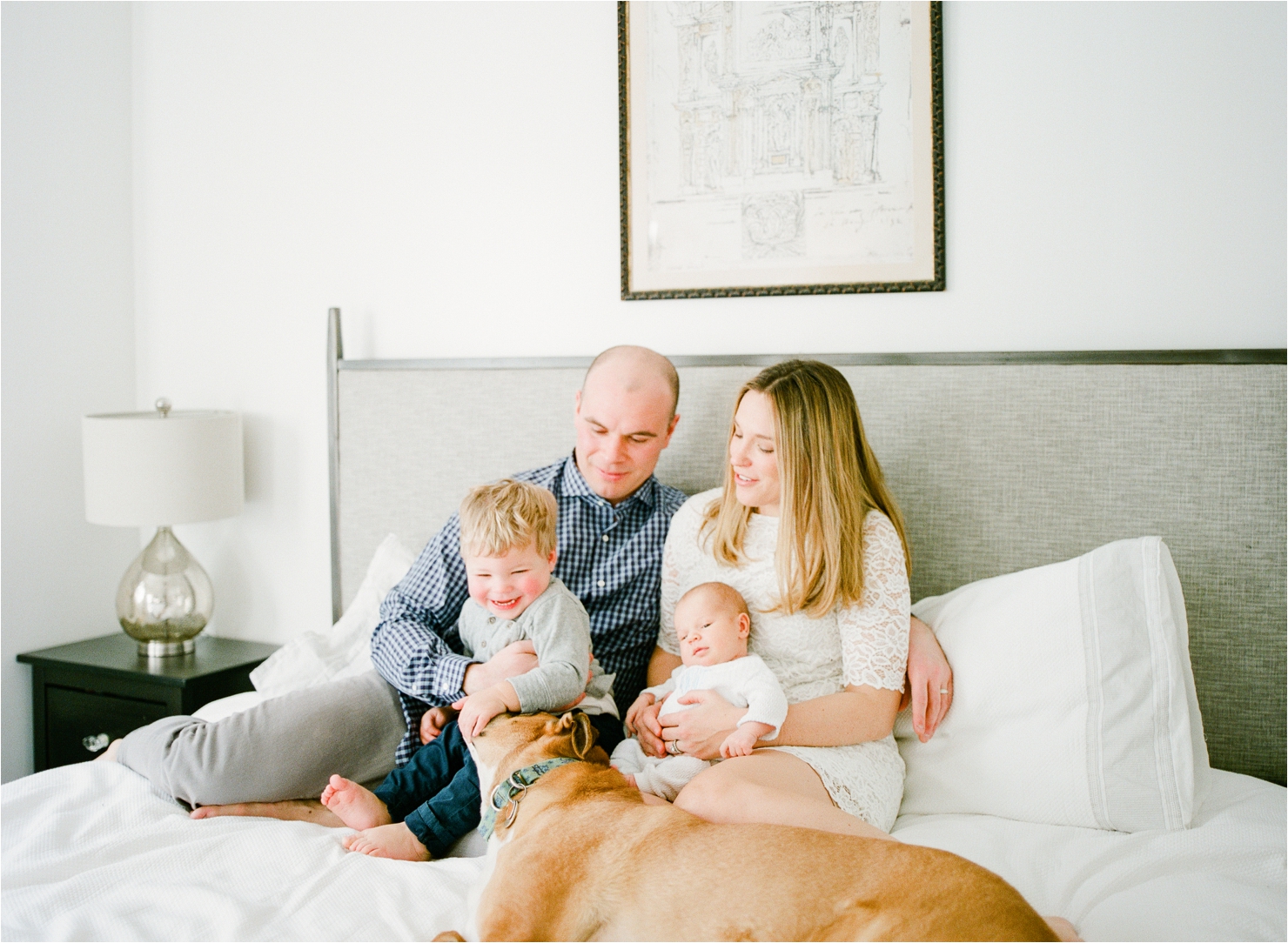 Family Photos with Dog on Bed Newborn Photos