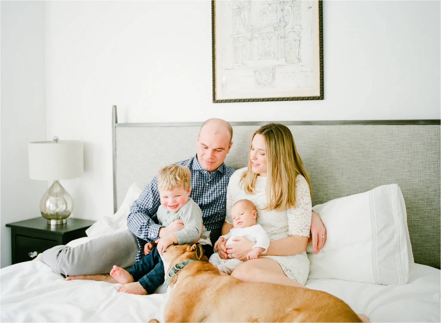 Family Photos with Dog on Bed Newborn Photos
