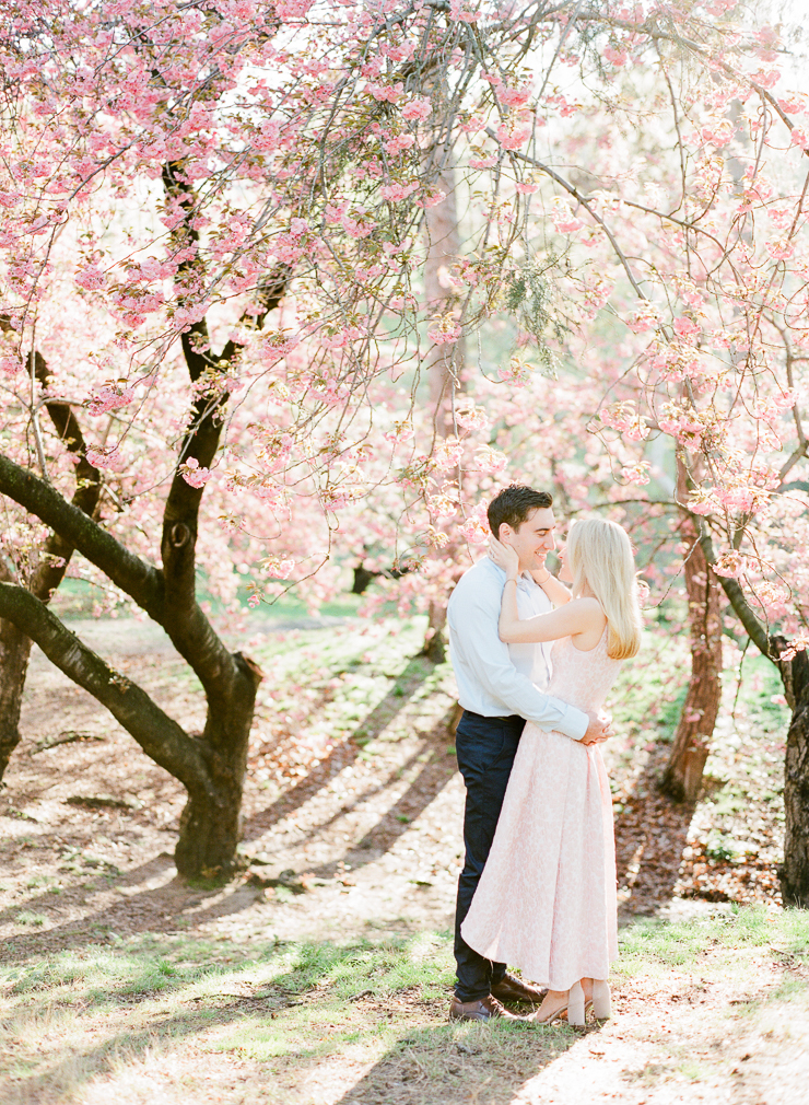 Spring Cherry Blossom Engagement Pictures in Central Park NYC