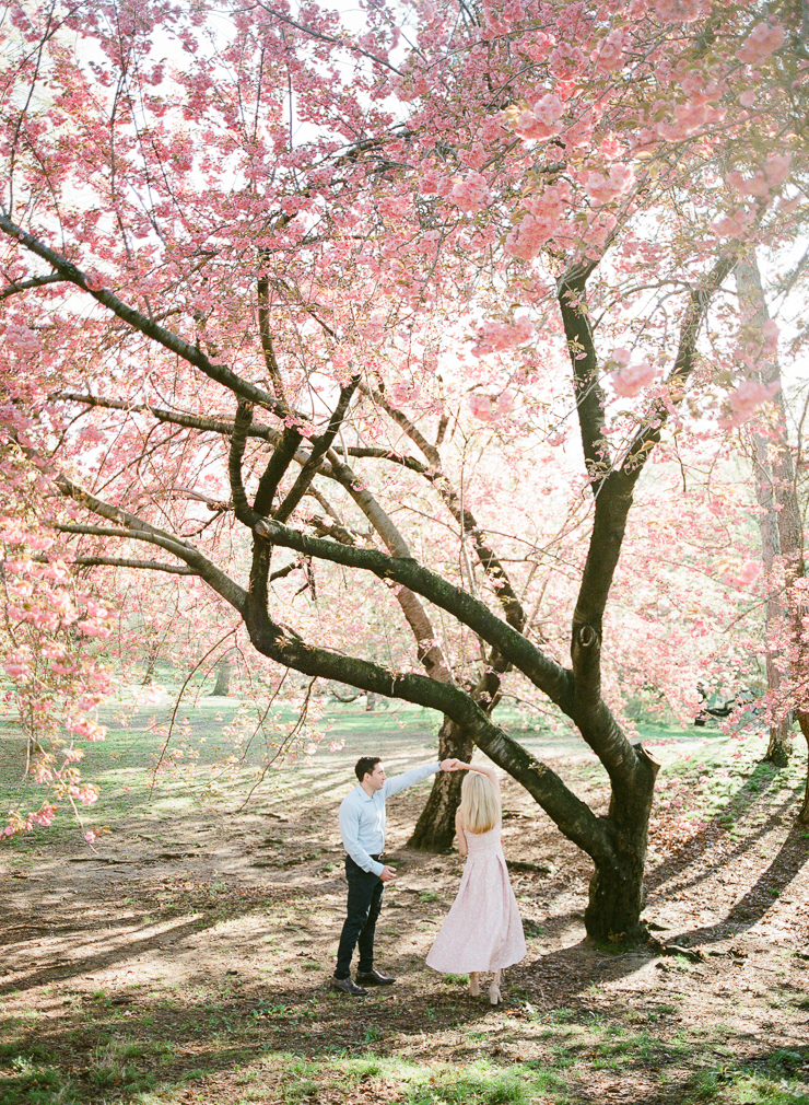 Couple Dancing under the Cherry Blossom Tress in Central Park, NYC