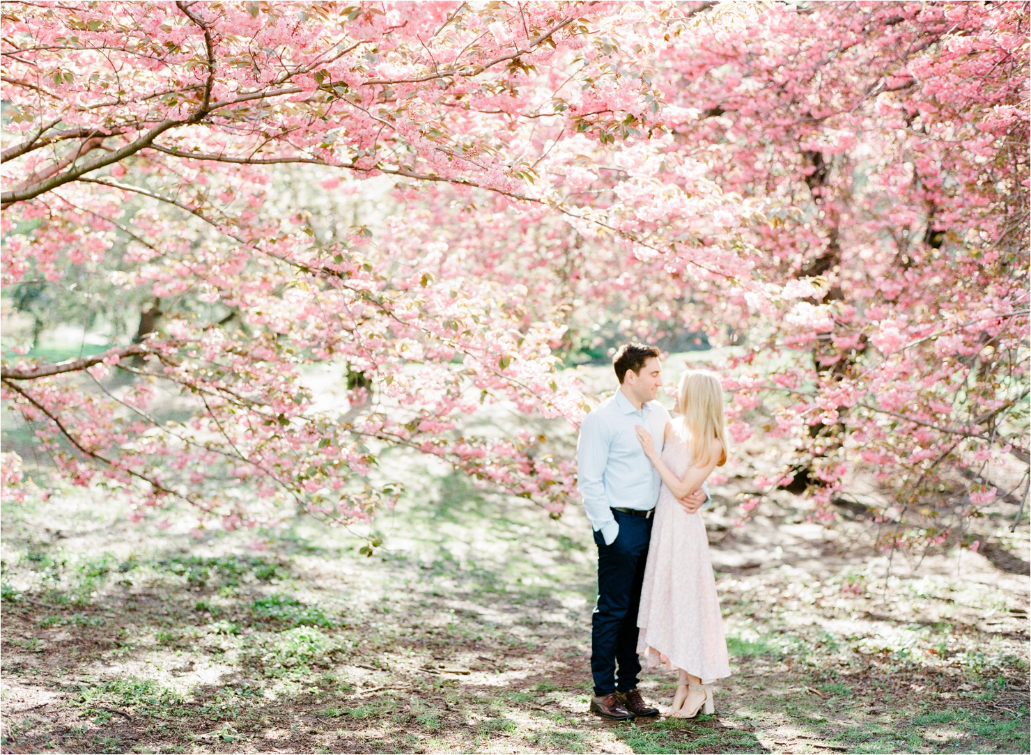 Spring Cherry Blossom Engagement Pictures in Central Park NYC