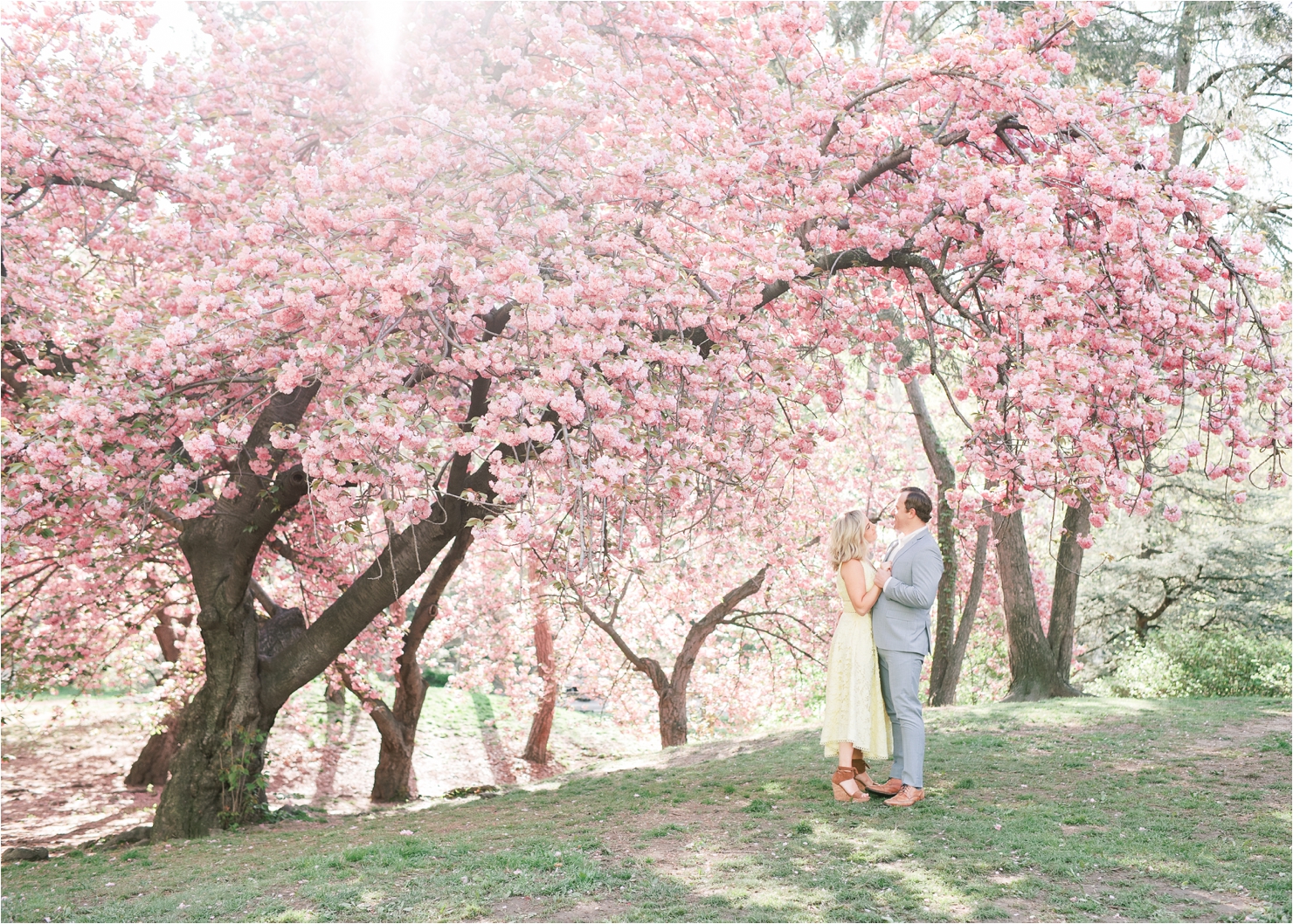 Cherry Blossom Engagement Photos in Central Park