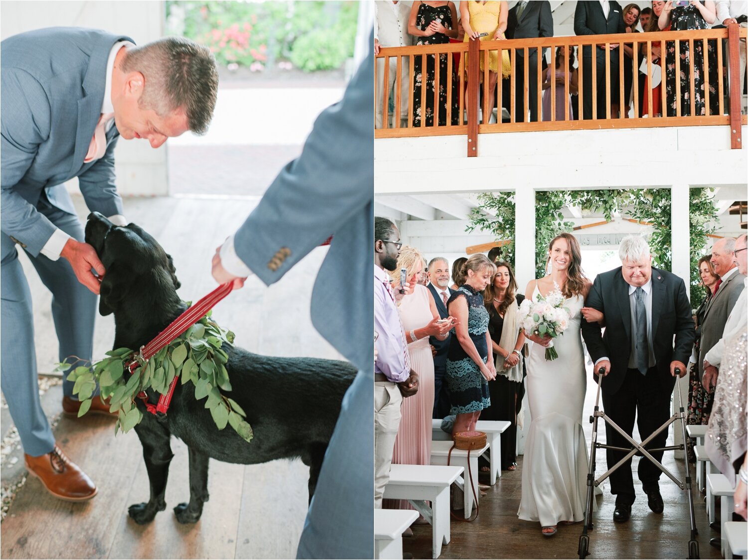 Fur Baby is Ring Bearer