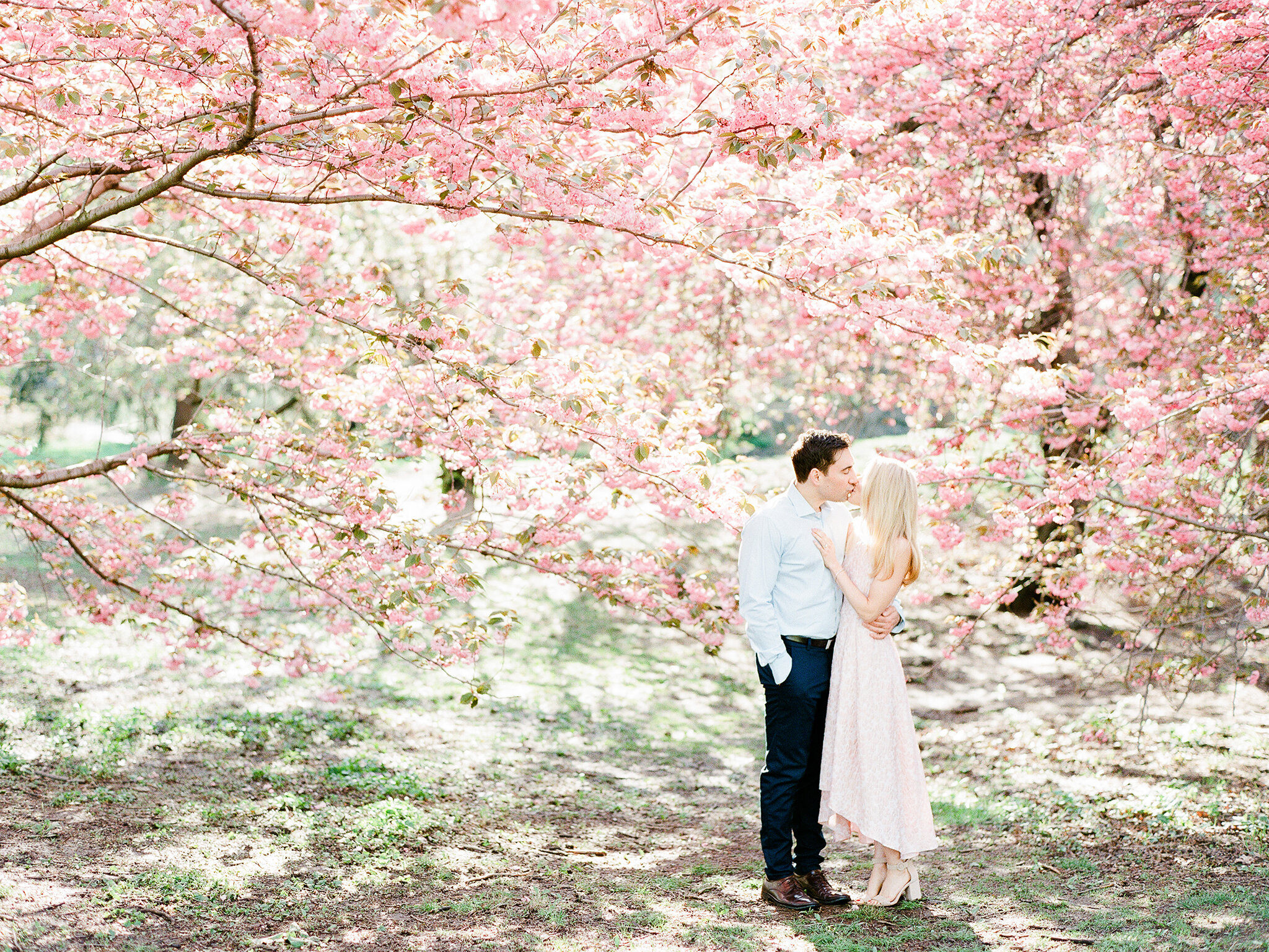 Cherry Blossom Engagement Photos