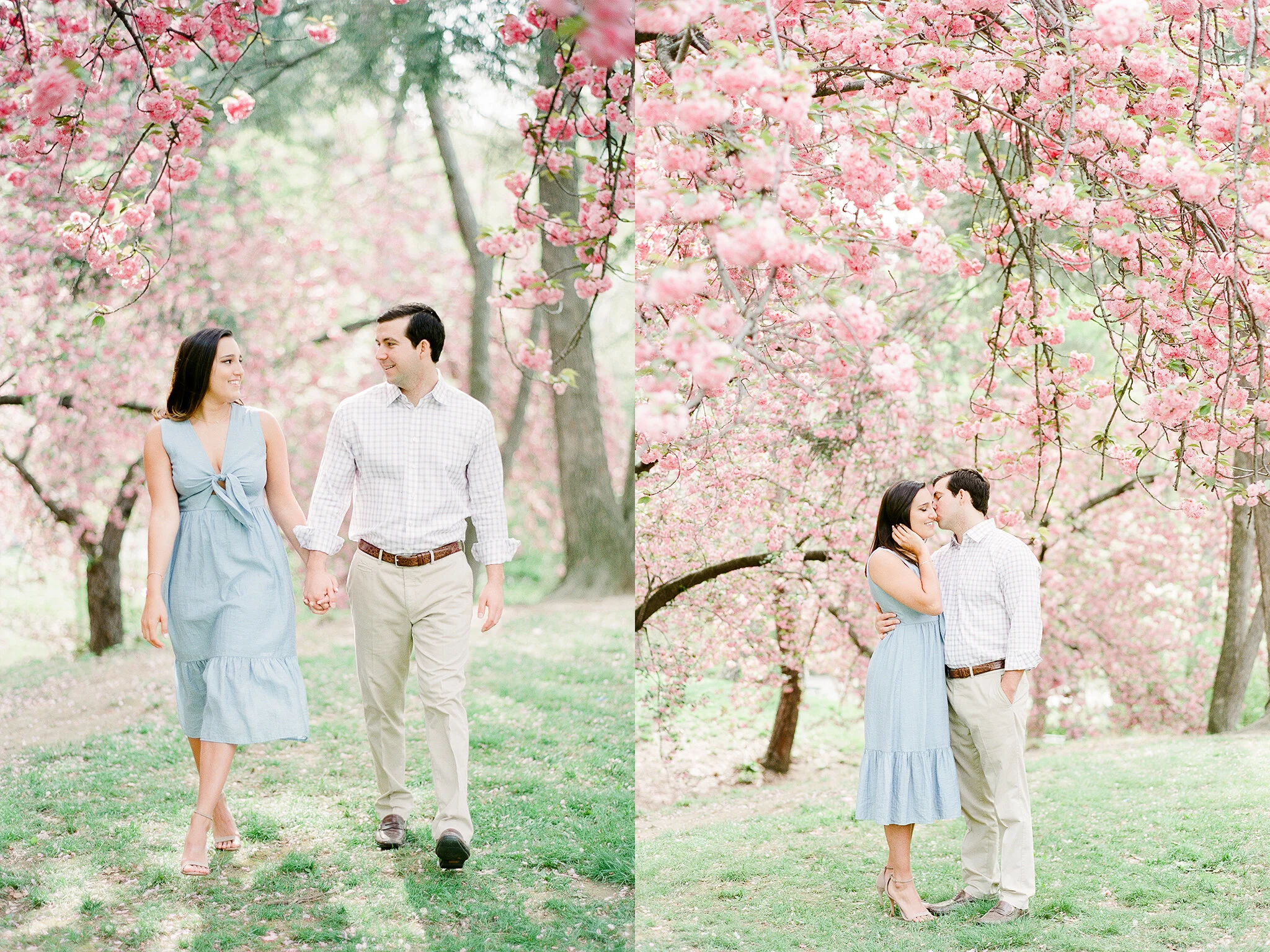 Cherry Blossom Engagement Photos