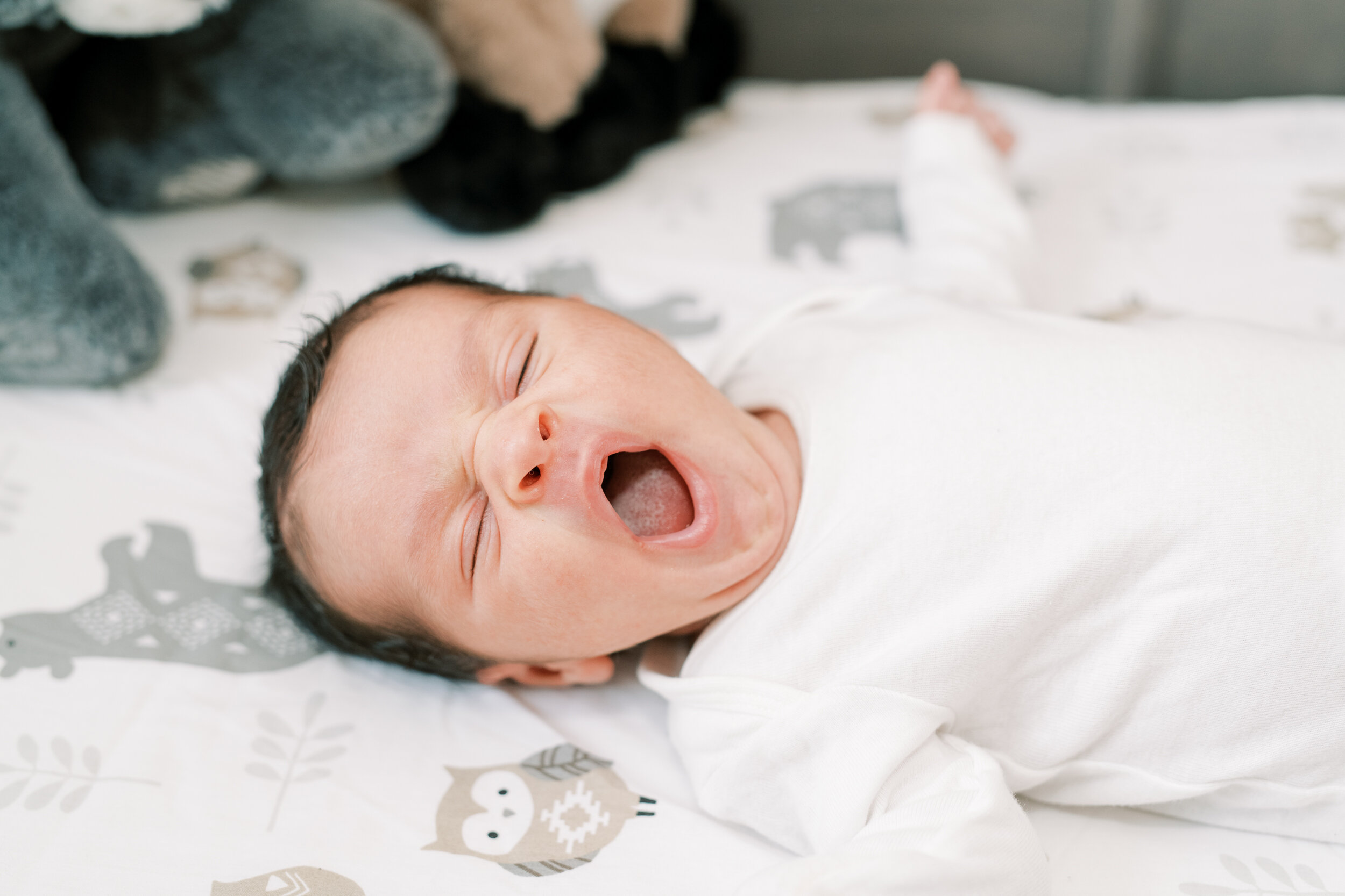 Newborn yawning in crib, Newborn photographer 
