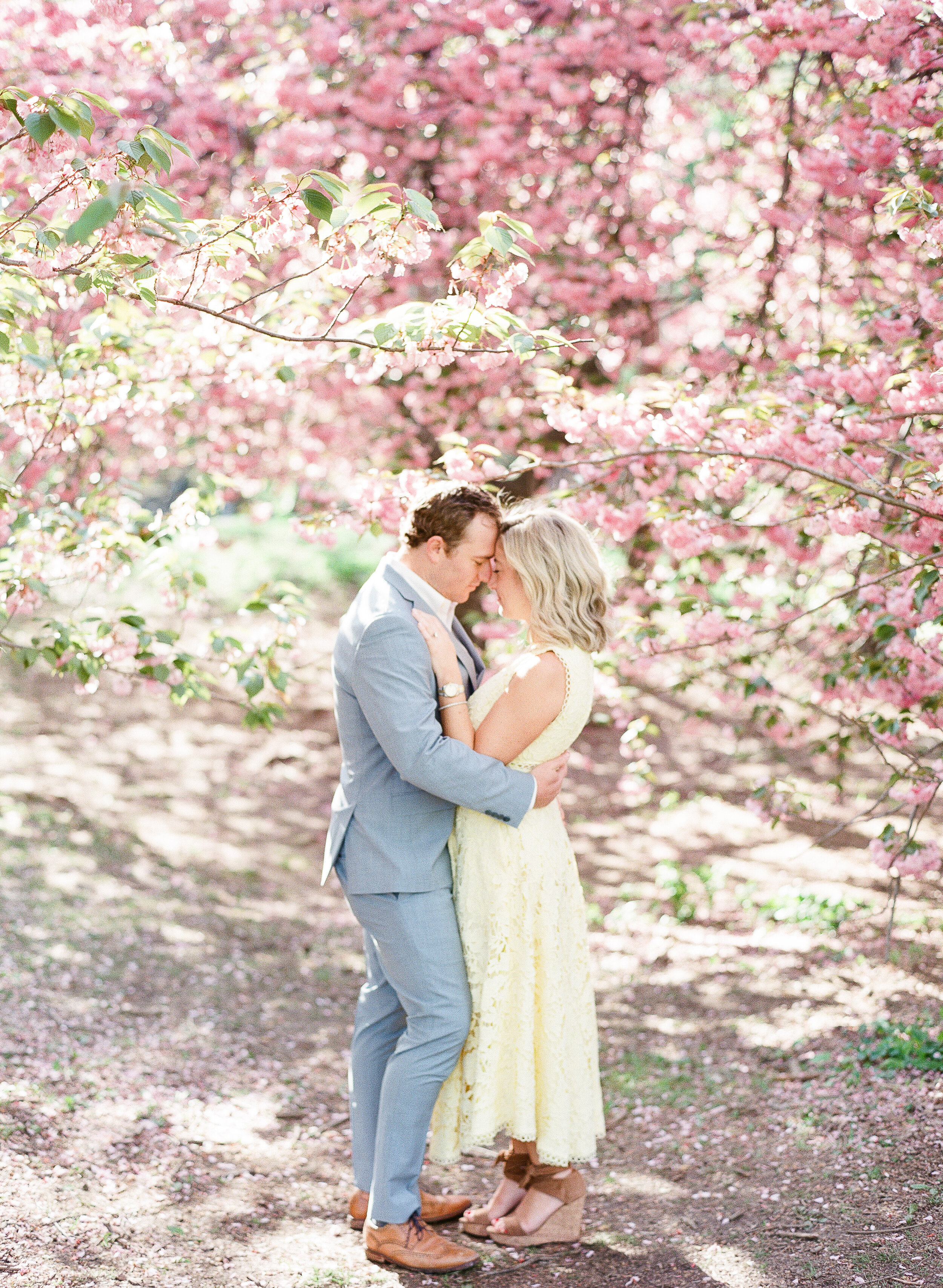 Central Park Engagement Photos in Spring with Cherry Blossoms