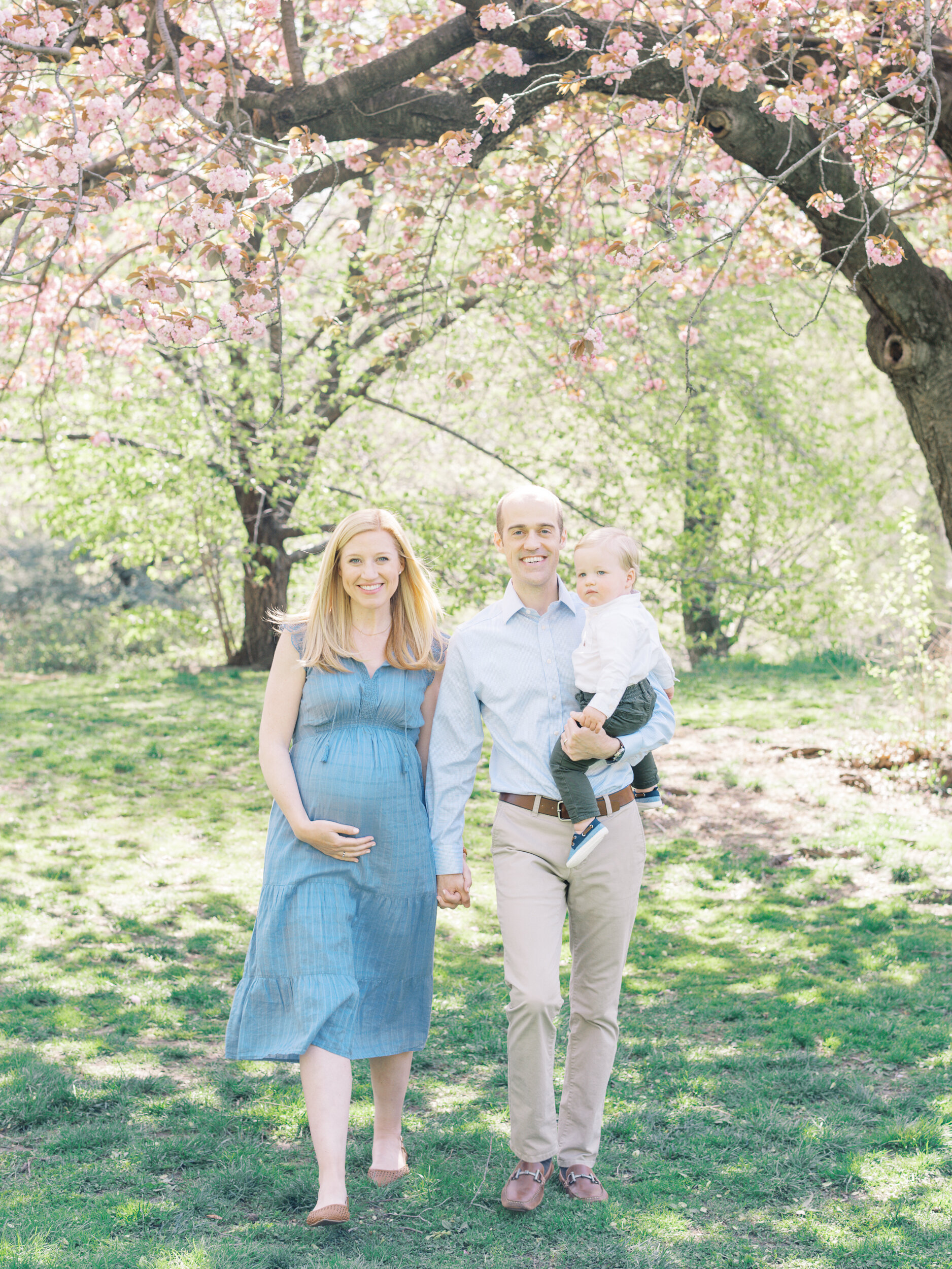 Family Photos under Cherry Blooms in NYC 