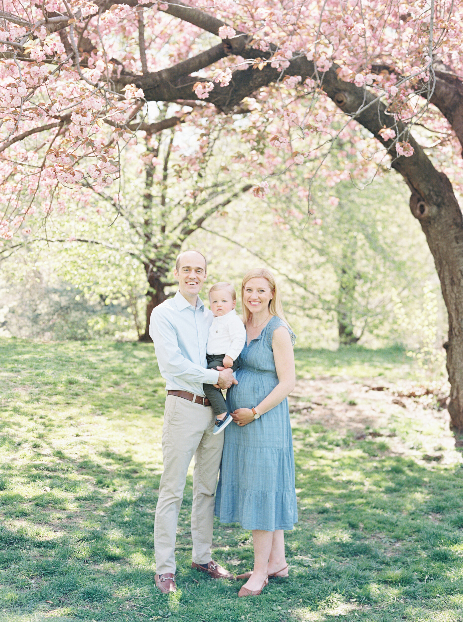 Cherry Blossom Family Photos in NYC 