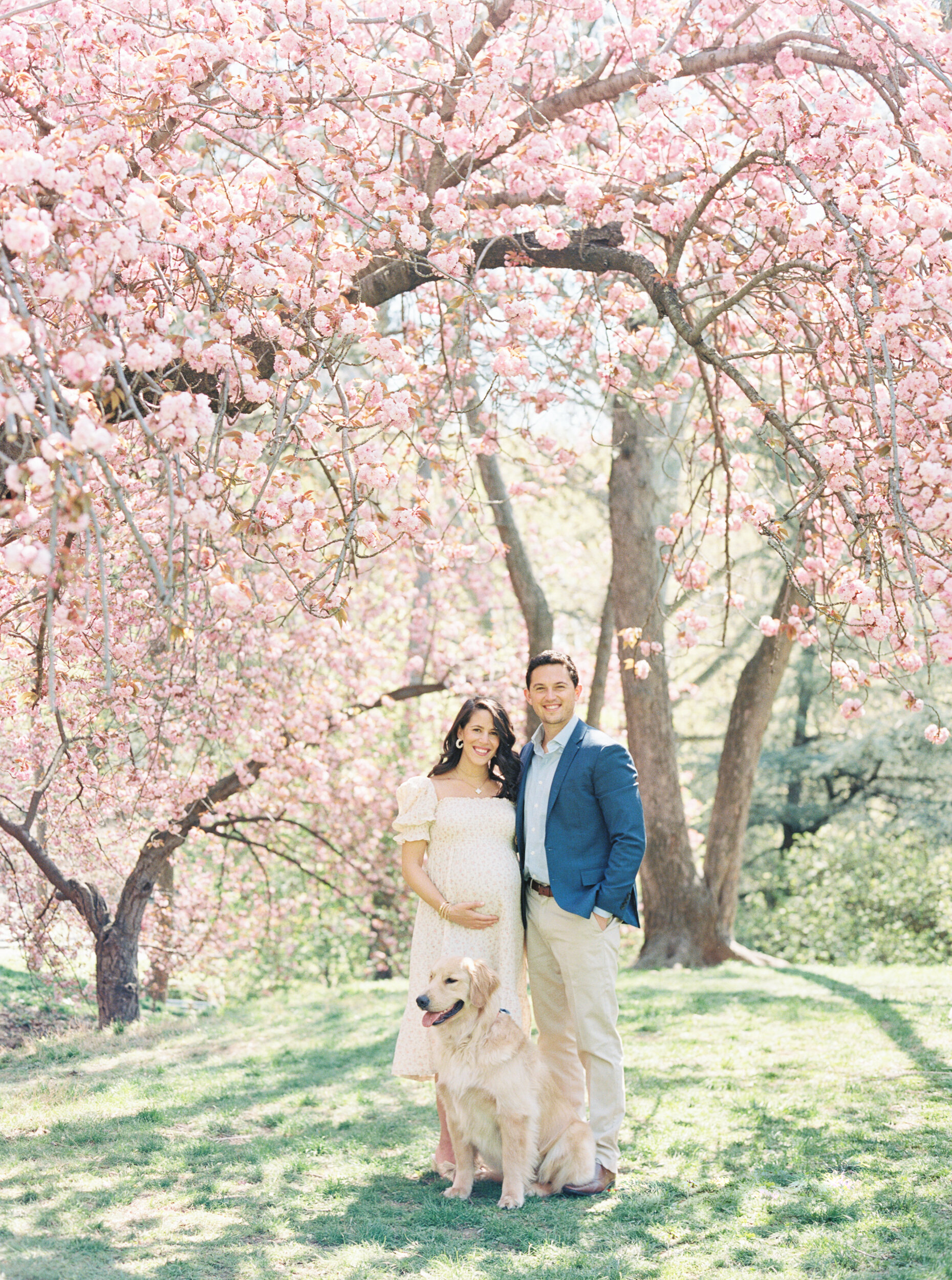 Central Park Cherry Blossom Maternity Photos