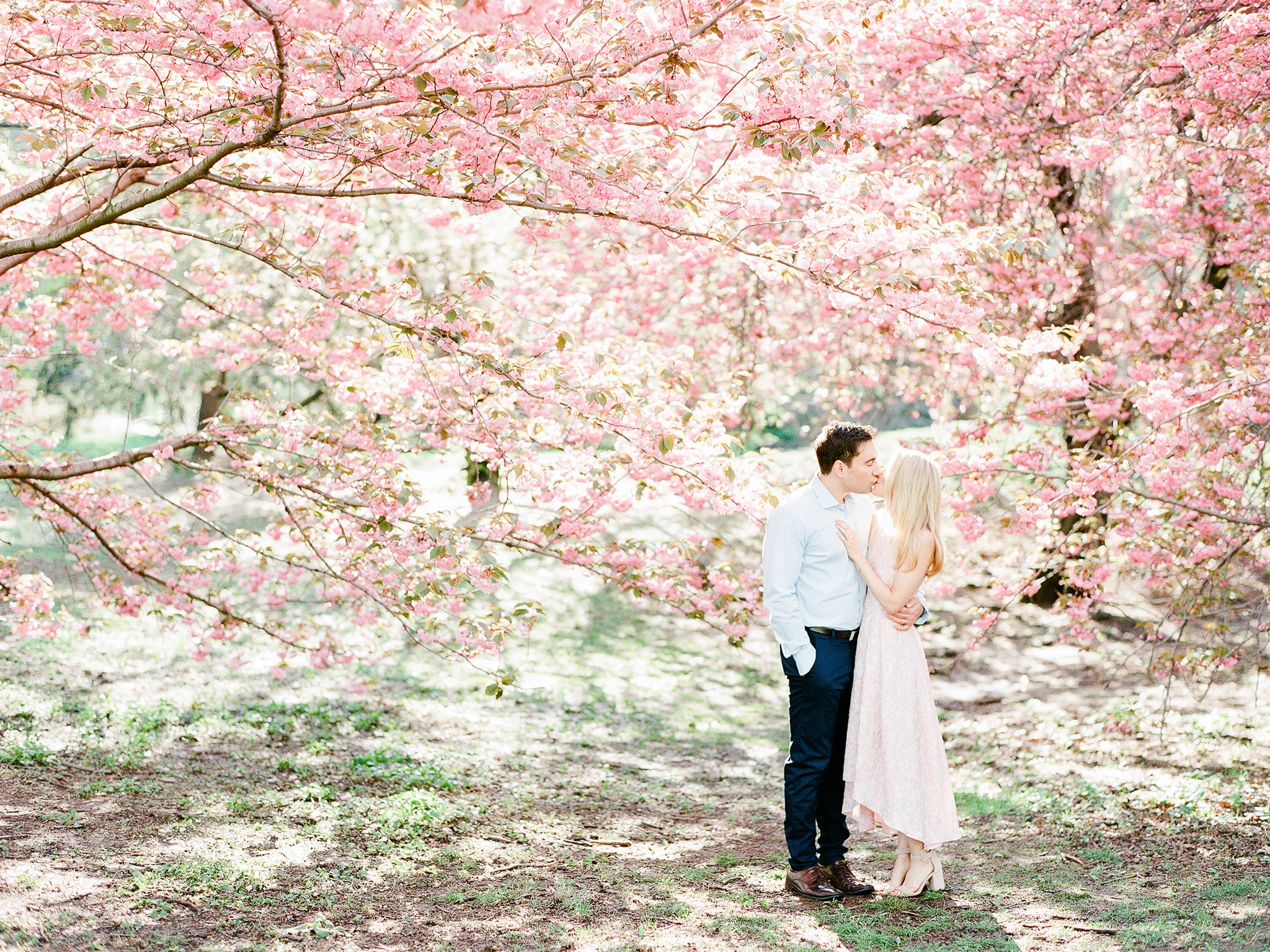Cherry Blossoms in Spring at Central Park - Engagement Photos