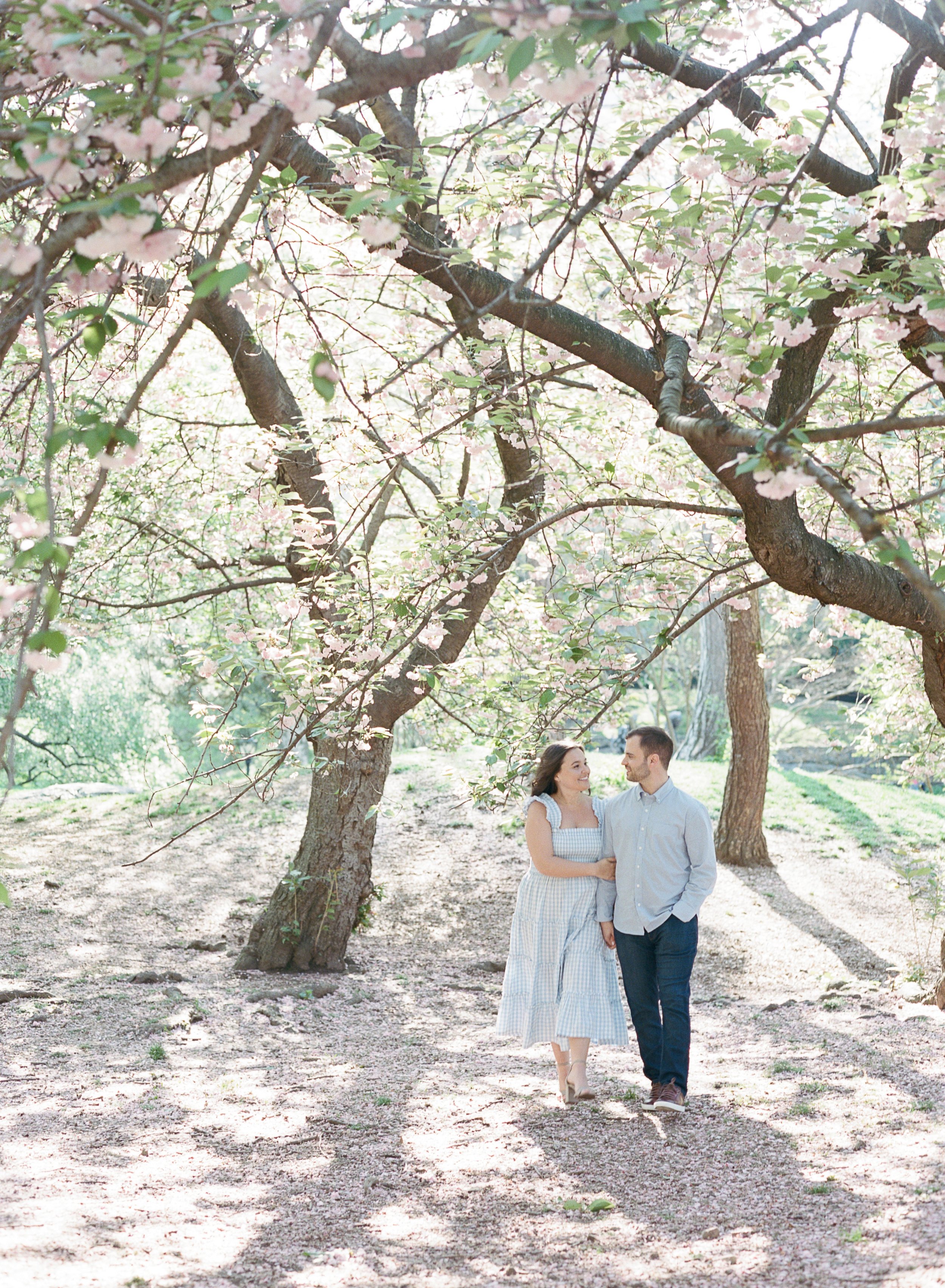 Central Park Cherry Blossom Engagement Photos