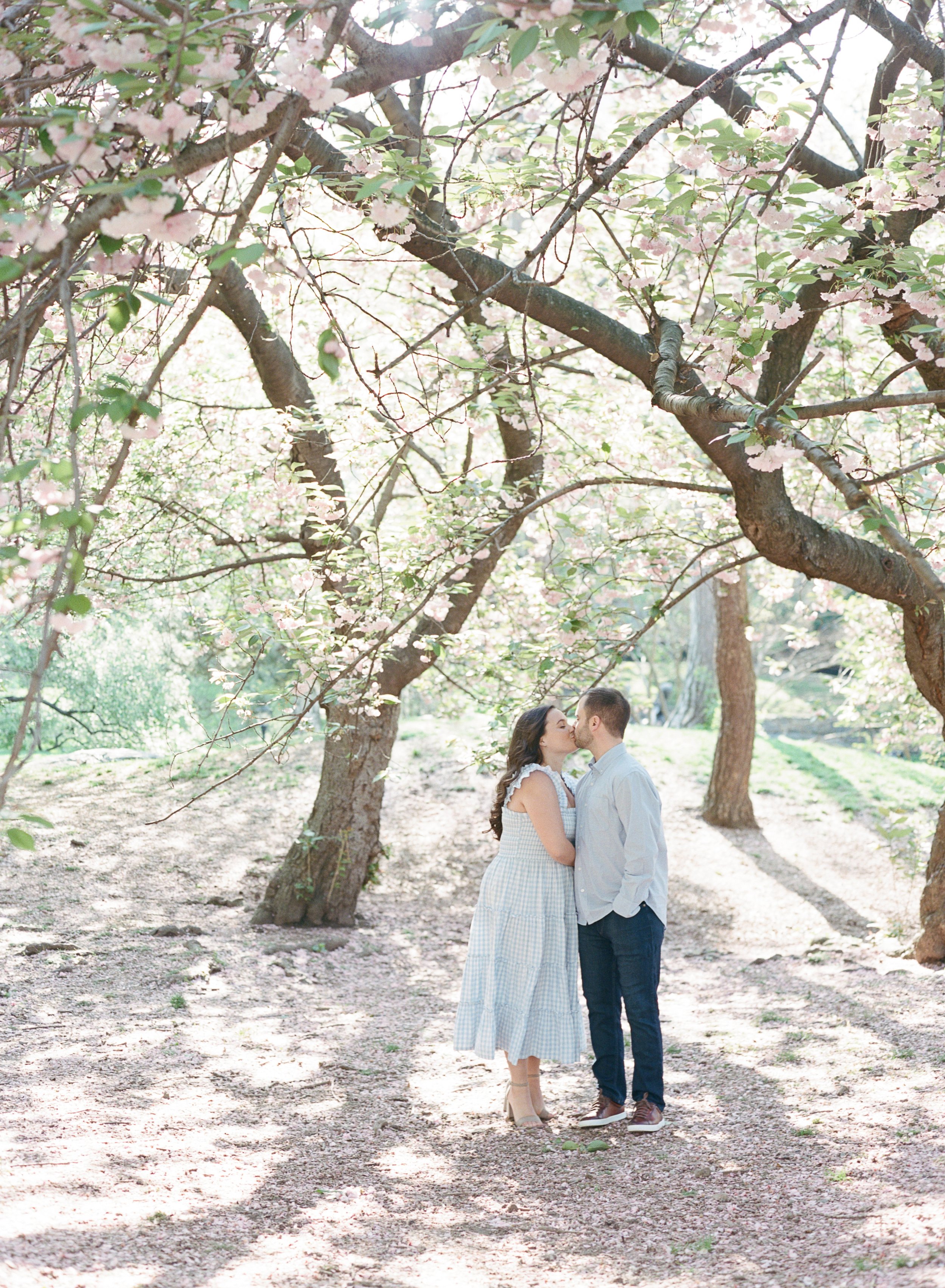 Central Park Cherry Blossom Engagement Photos