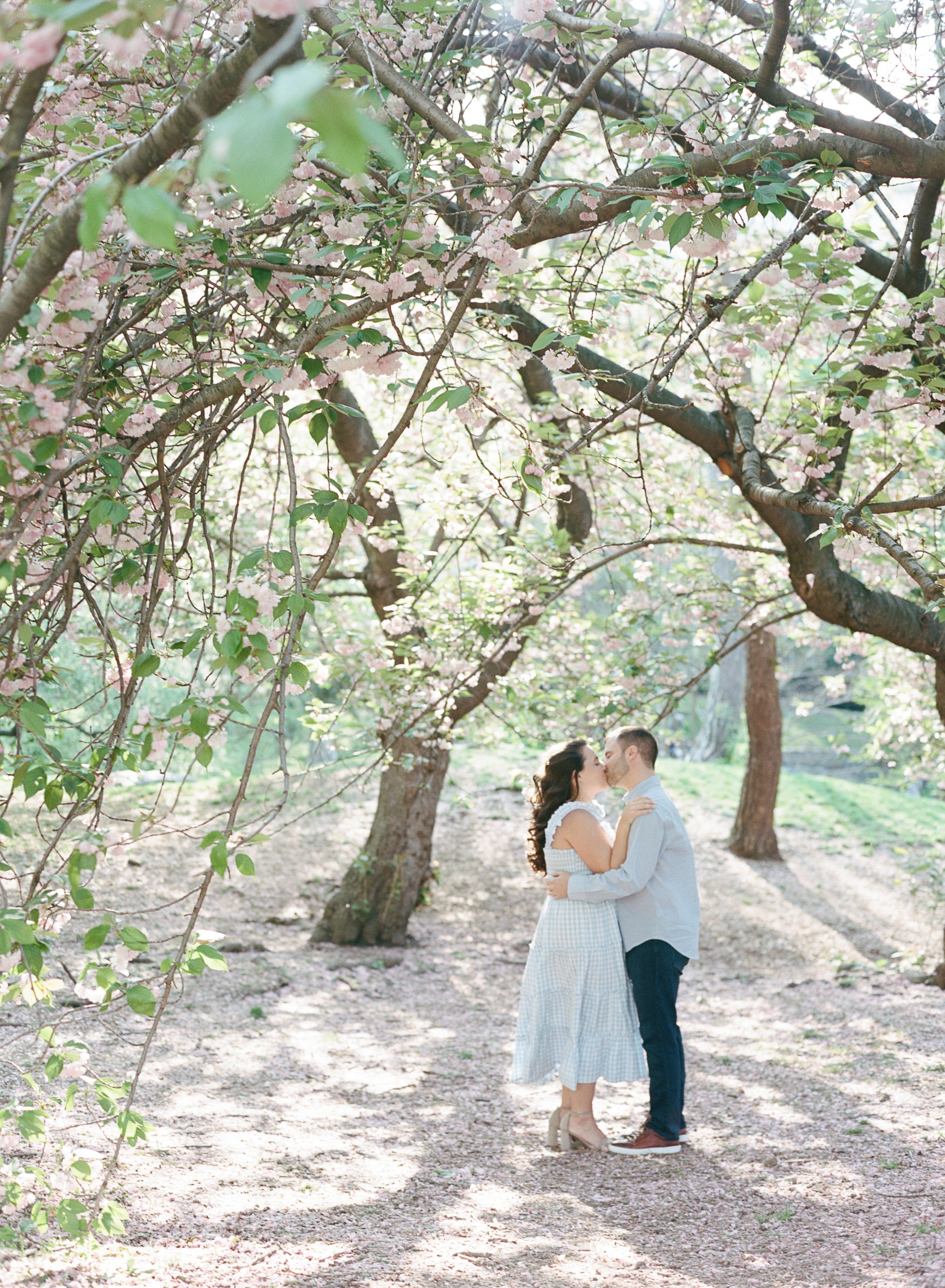 Central Park Cherry Blossom Engagement Photos