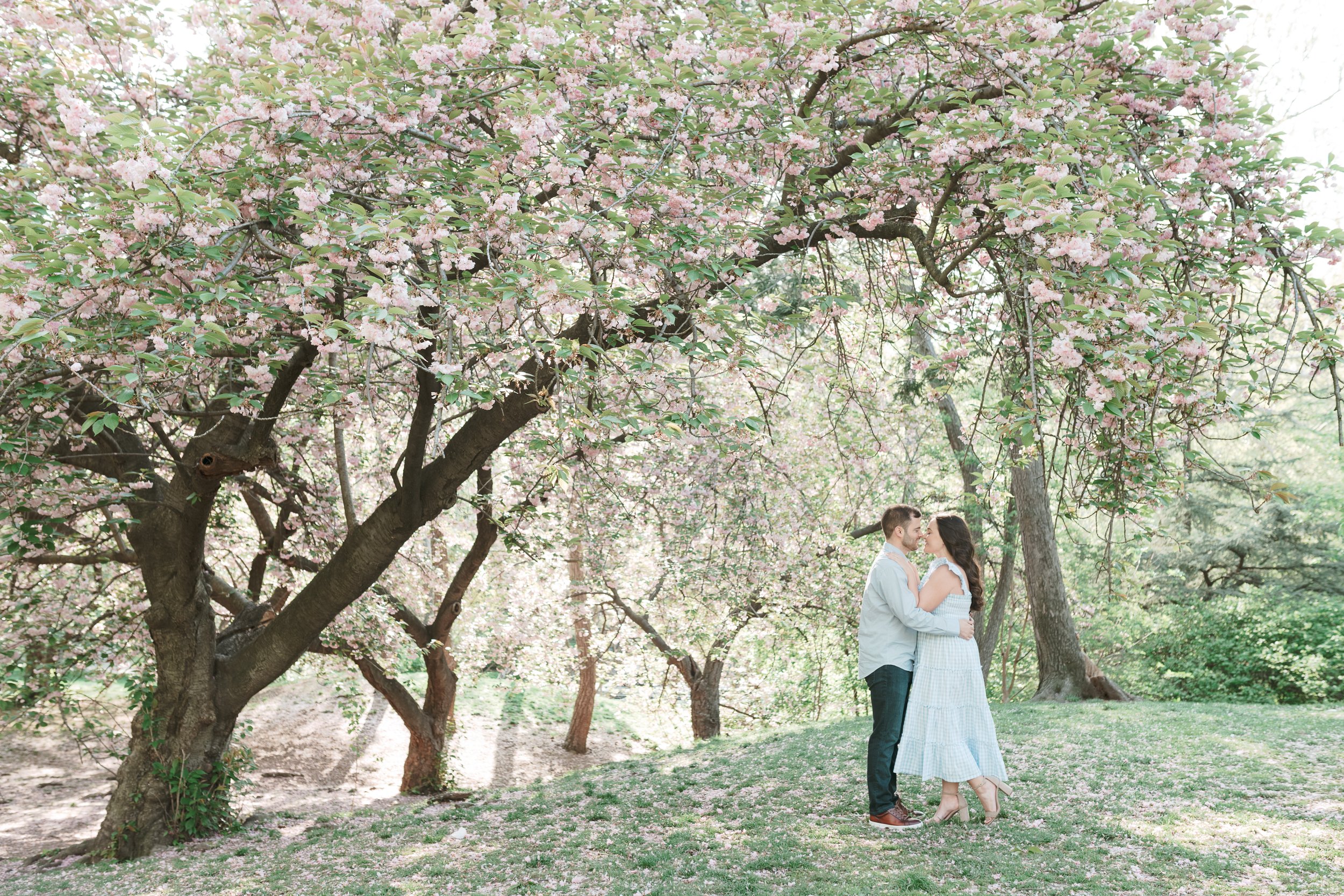 Central Park Cherry Blossom Engagement Photos