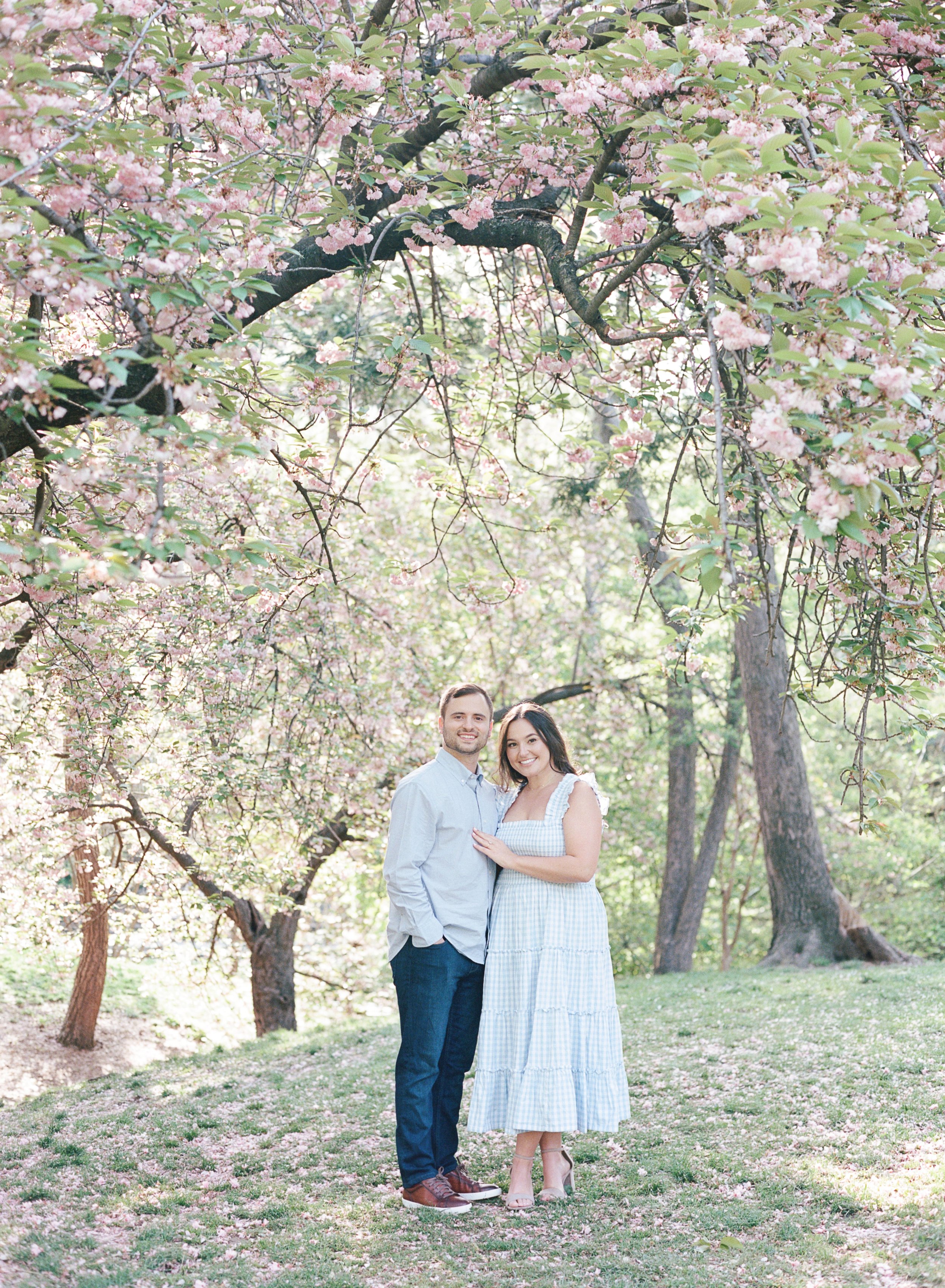 Central Park Cherry Blossom Engagement Photos