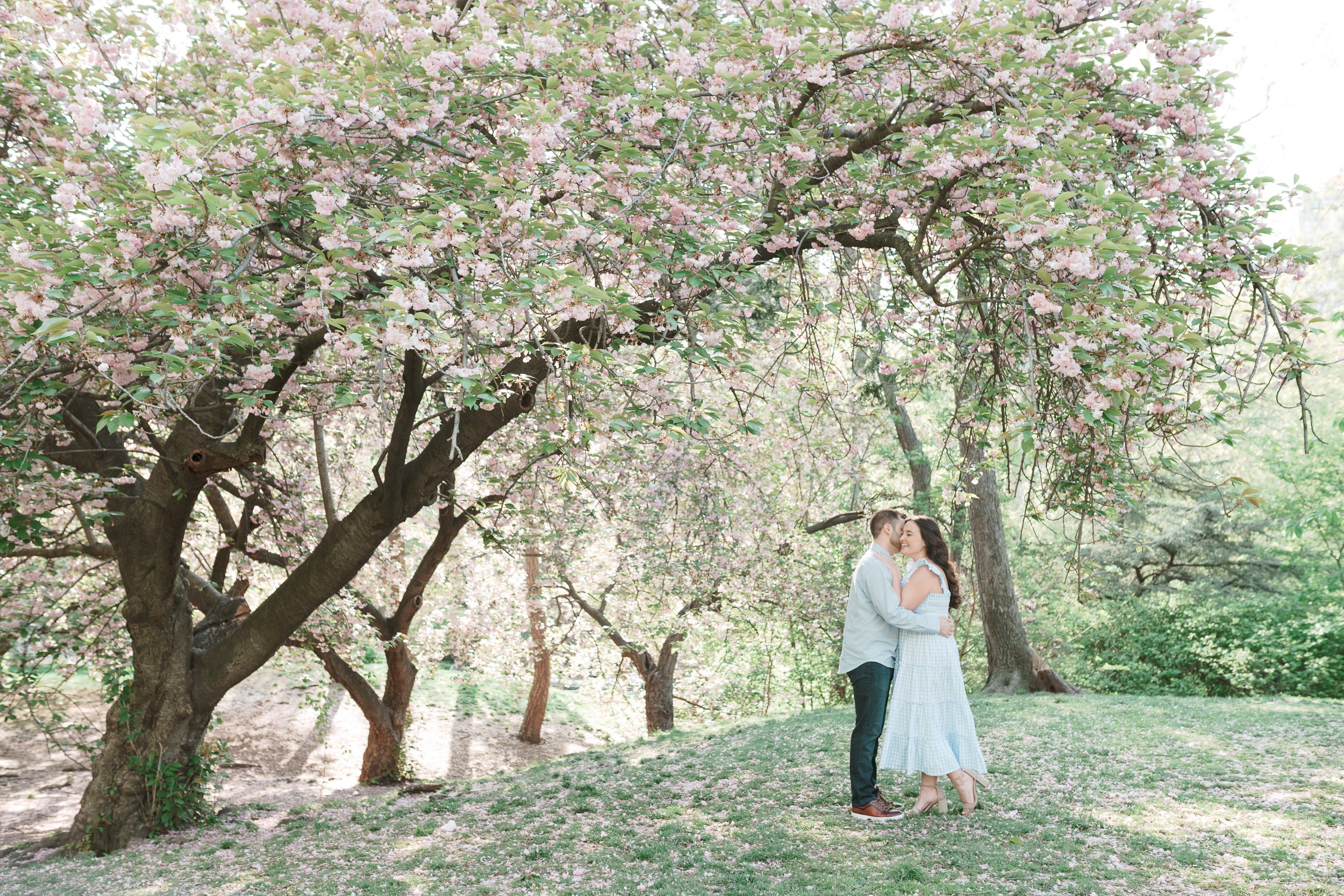 Central Park Cherry Blossom Engagement Photos