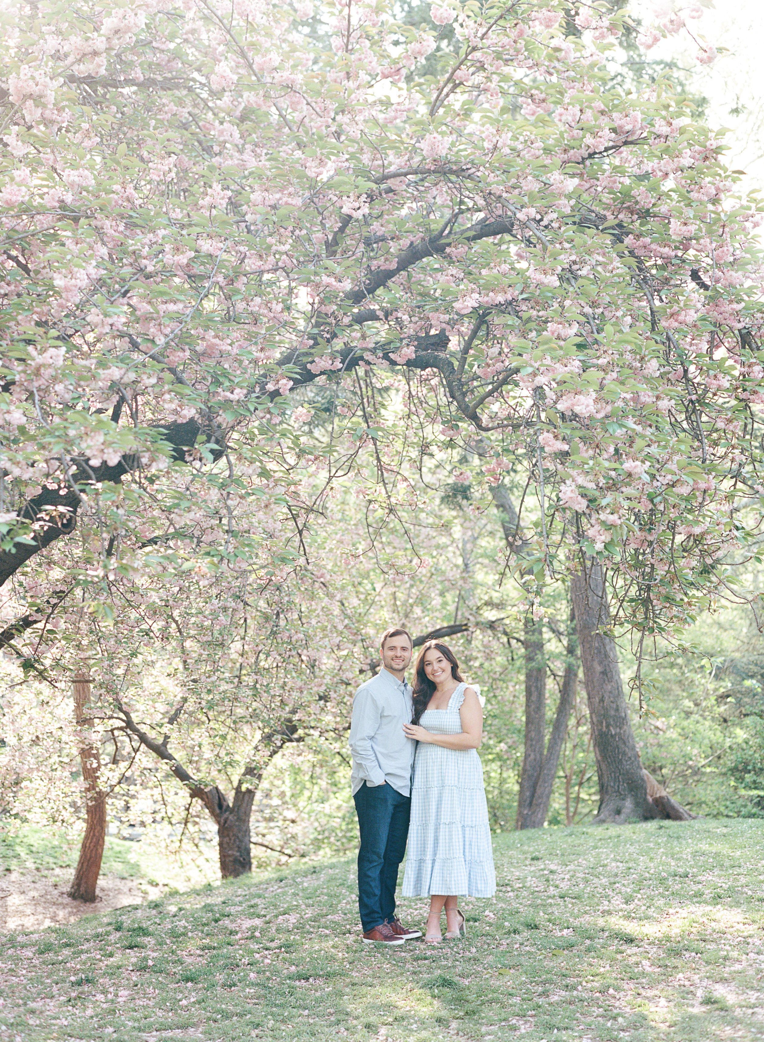 Central Park Cherry Blossom Engagement Photos