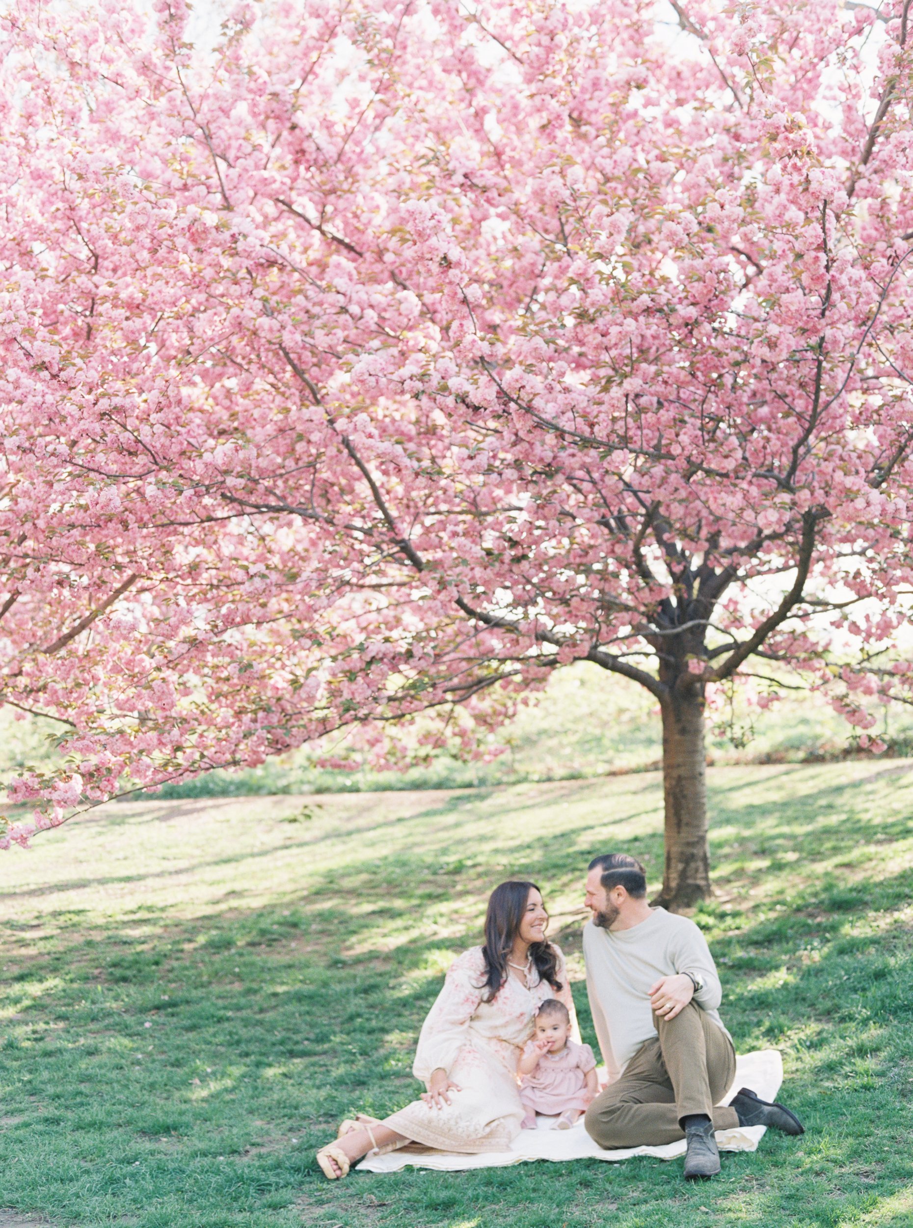 Family sitting under the cherry blossoms in central park for family photo session
