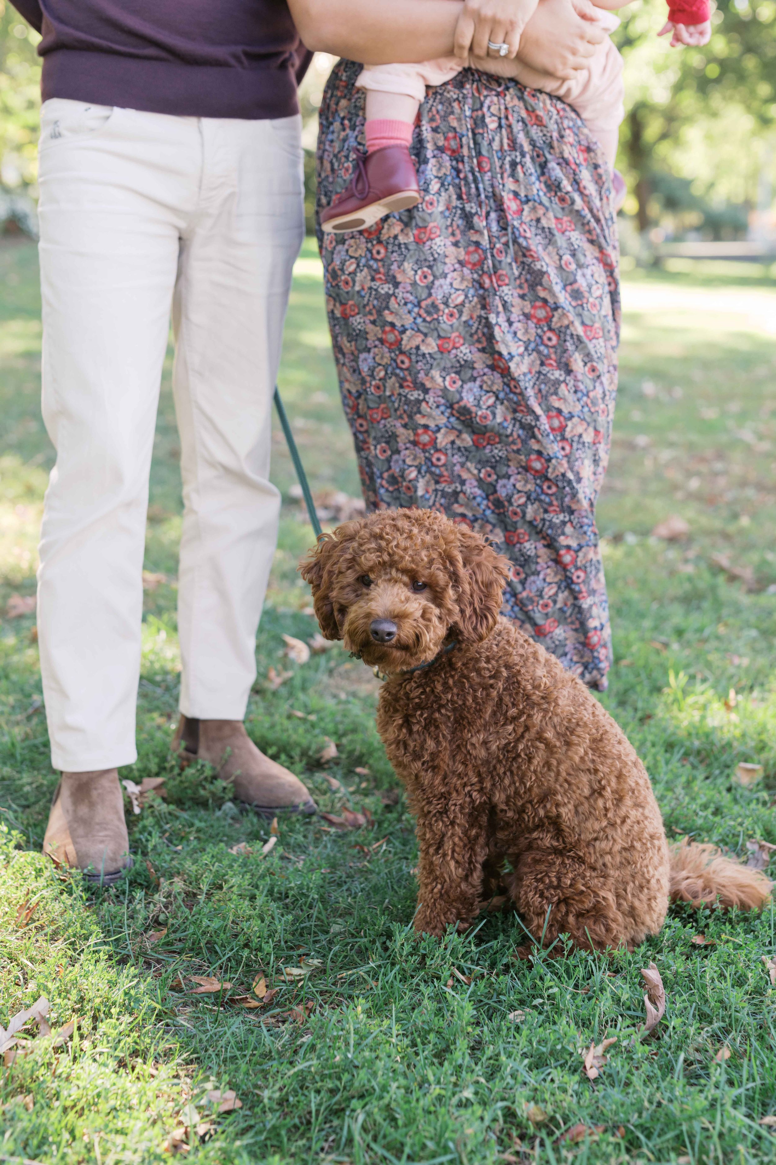 New York Family Photographer