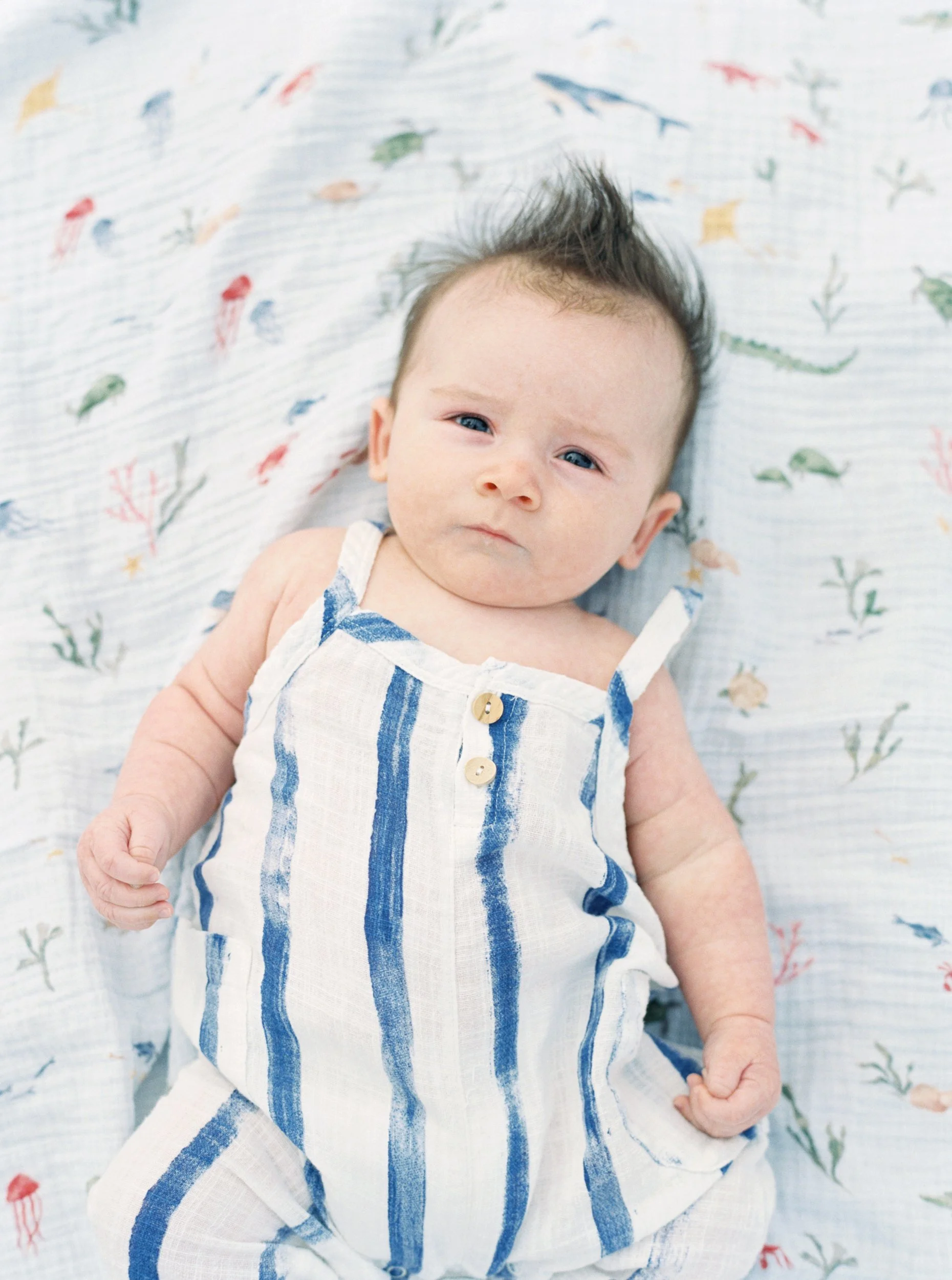 Beach Family Photos in Bridgehampton, NY