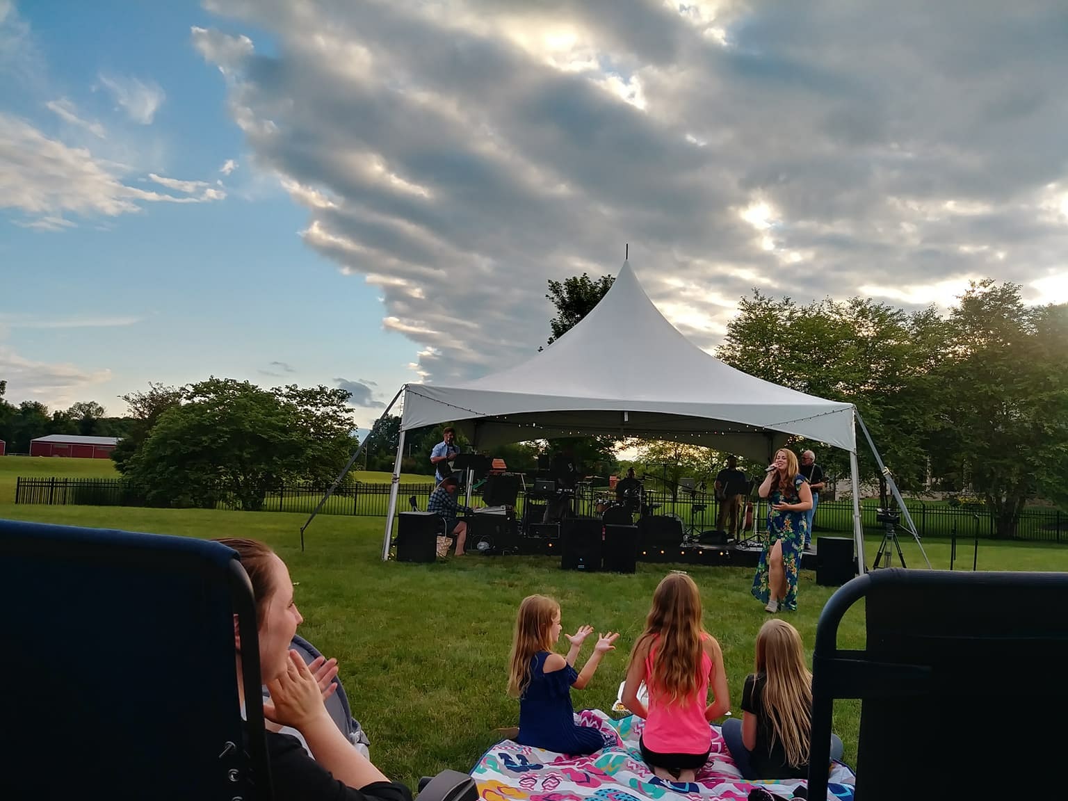 Concert on the Lawn Fundraiser
