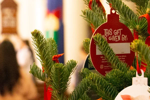 Giving Tree