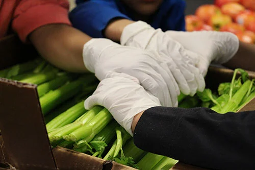 Food Pantry Observation
