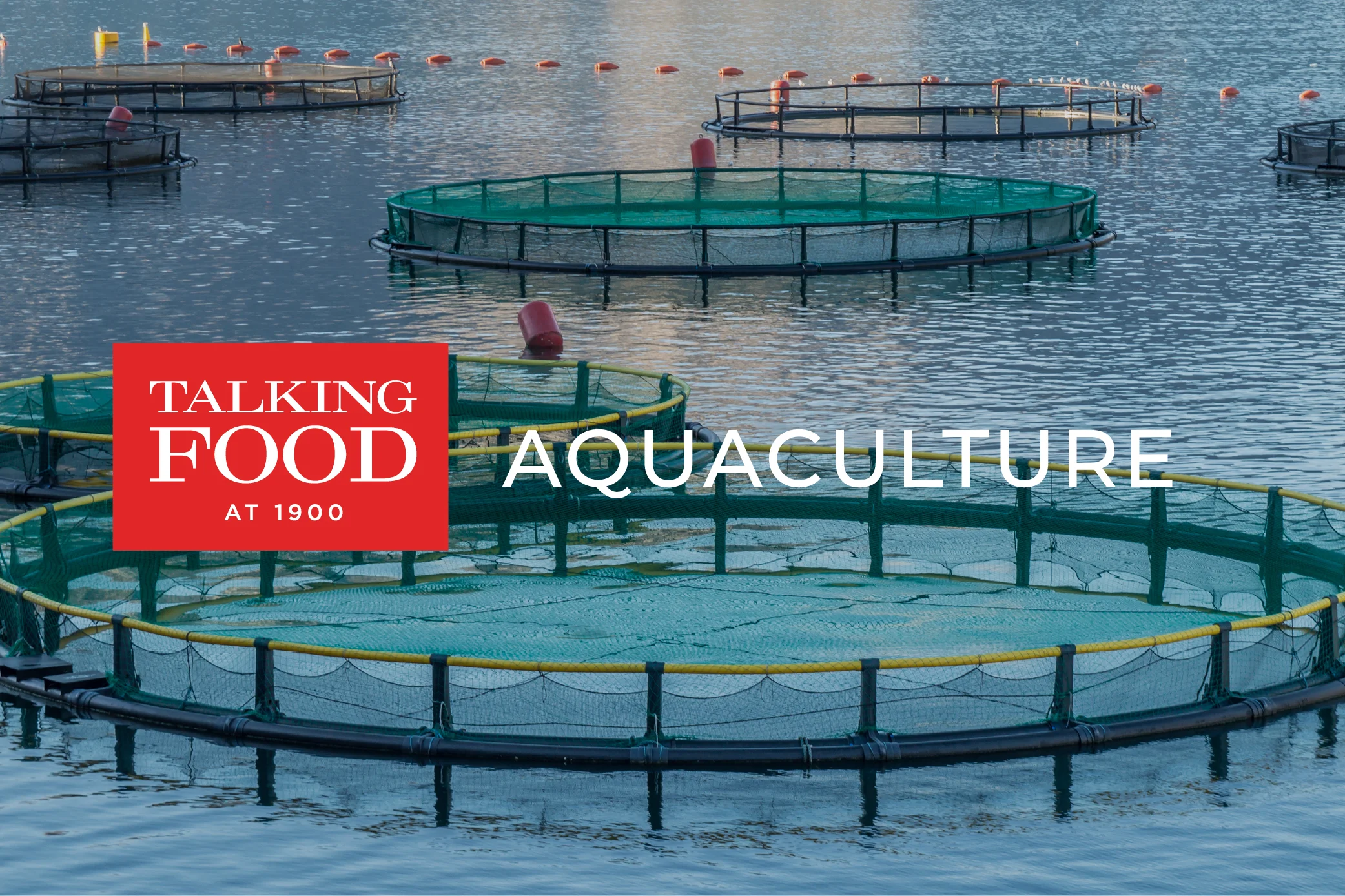 TalkingFood-Aquaculture.jpg