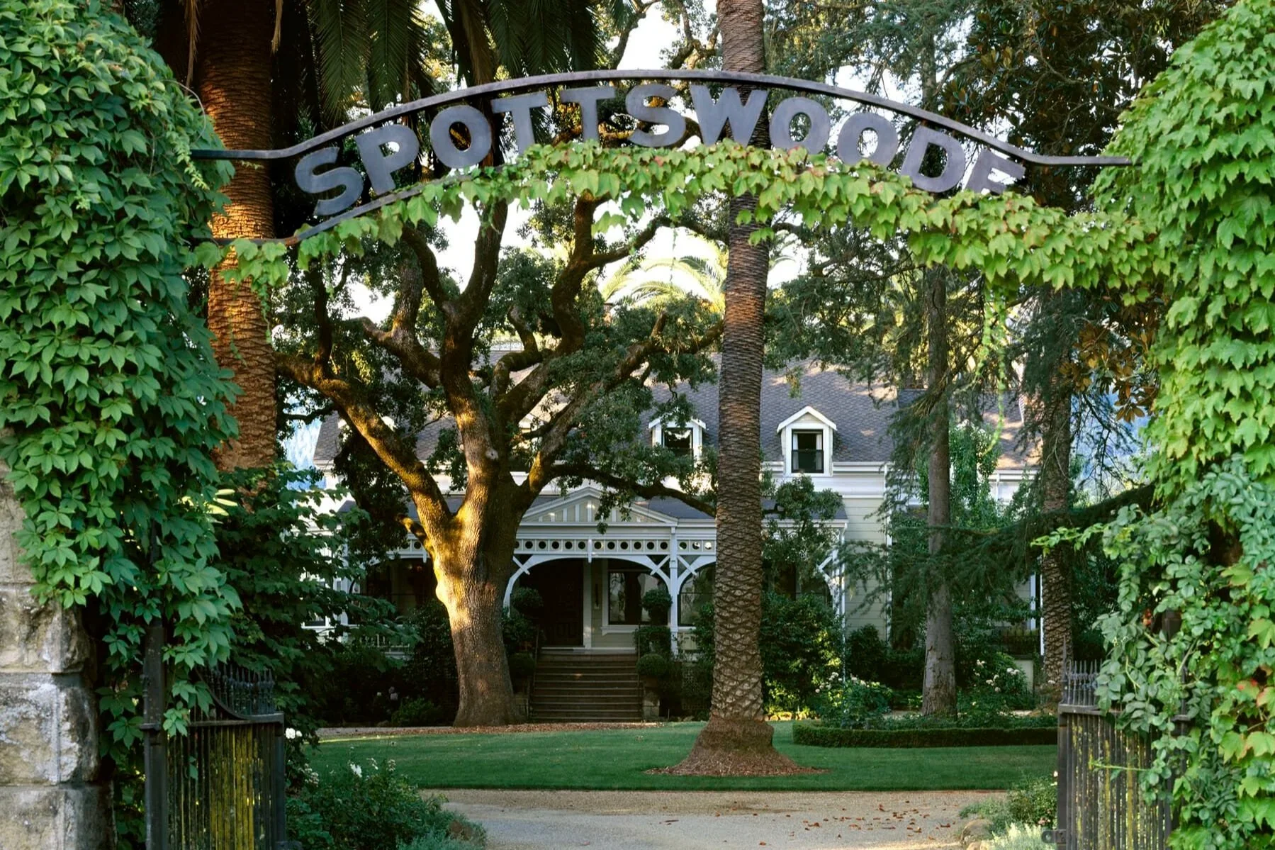 Spottswoode Wine Dinner in Modern Culinary