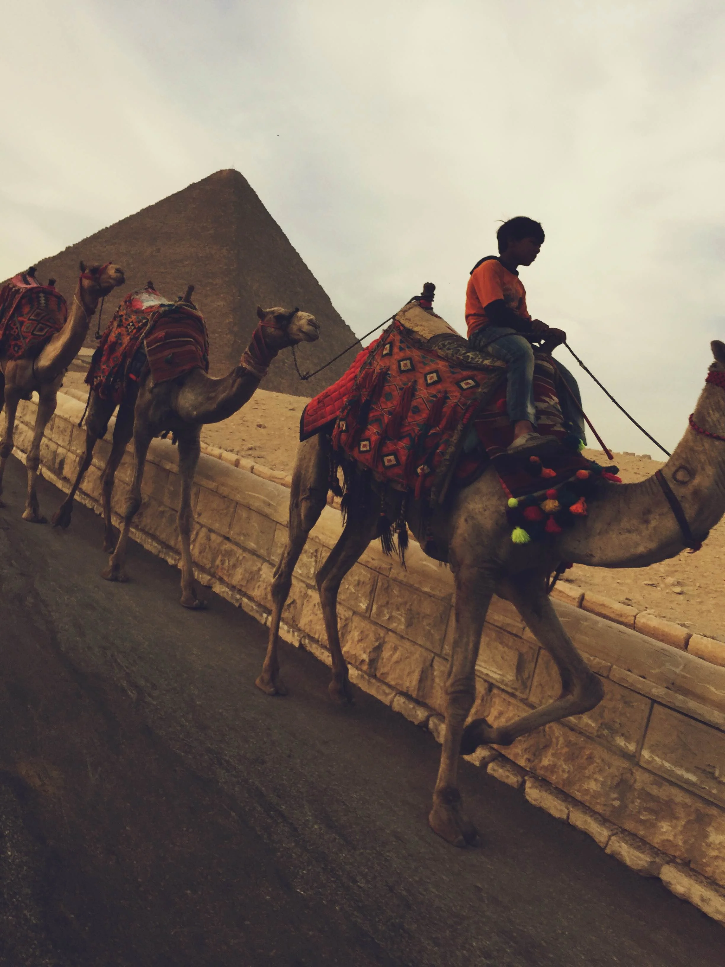 Egypt - Nile River Tour - 12 Days (11 Nights) 