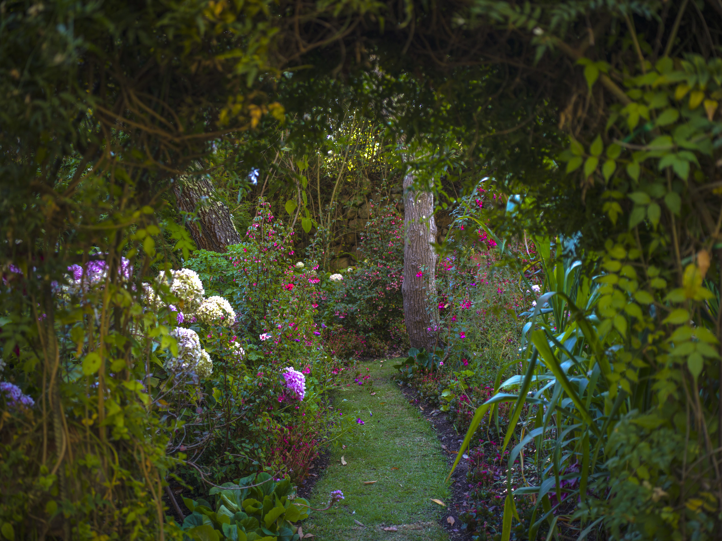 San Pedro Intensive Retreat (5 Days/ 4 Nights)