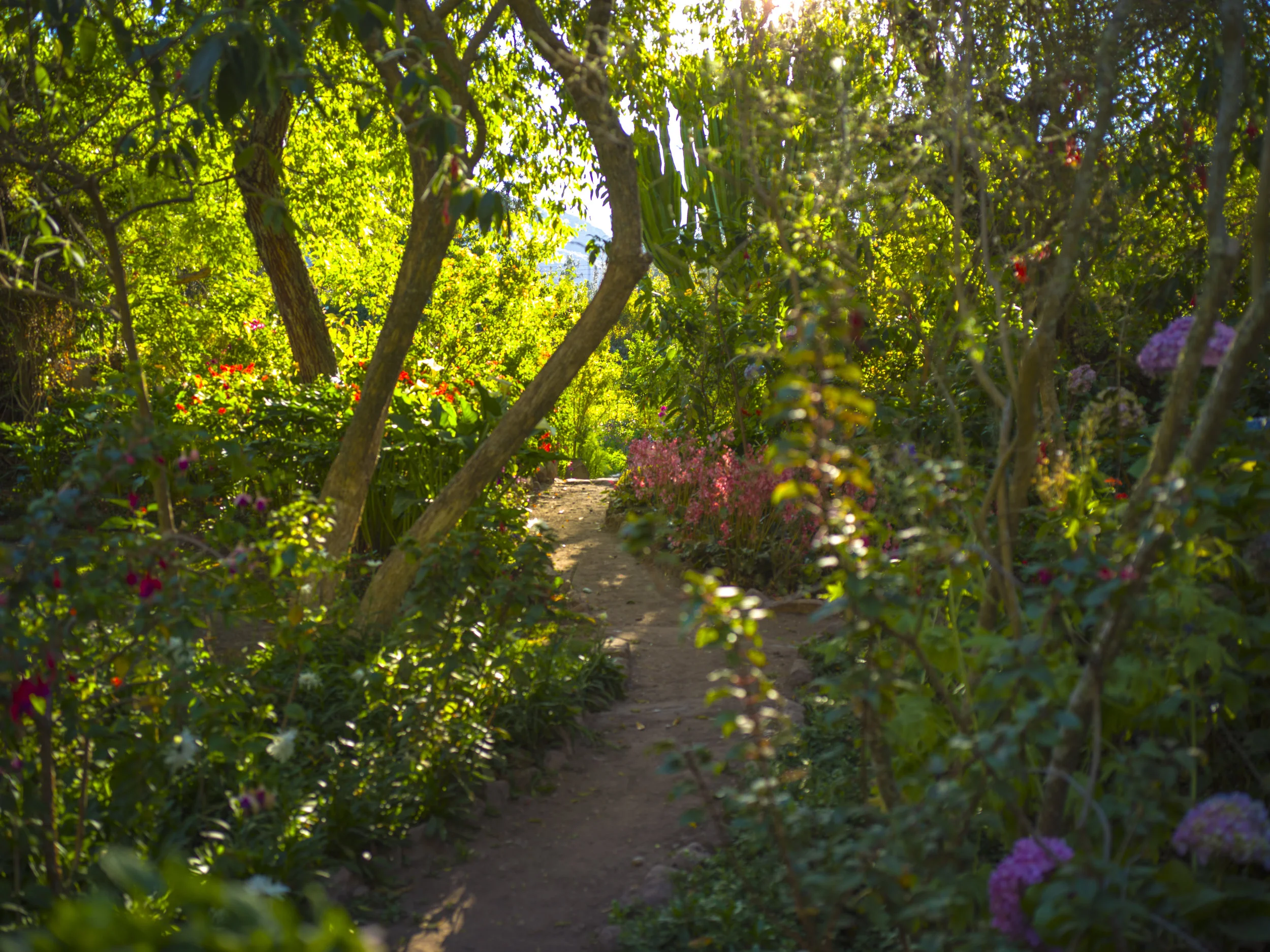 San Pedro Intensive #2 : Sacred Valley of Peru: Feb 10-16, 2019