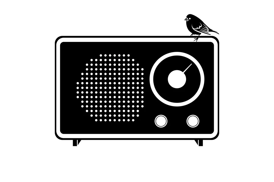 LittleBirdBigSoundLogo.jpg
