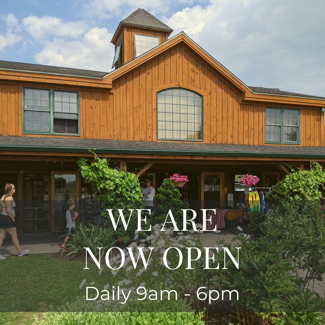 Today is the first day of our 44th season! 🎉 We hope you stop by!
.
.
.
#sweetberryfarmri #openingday #nowopen #middletownri #newportri @newportbuzz 
@discovernewport @newportlifemagazine  @thenewportdaily  @ediblerhody  @yankeemagazine  @heyrhody  